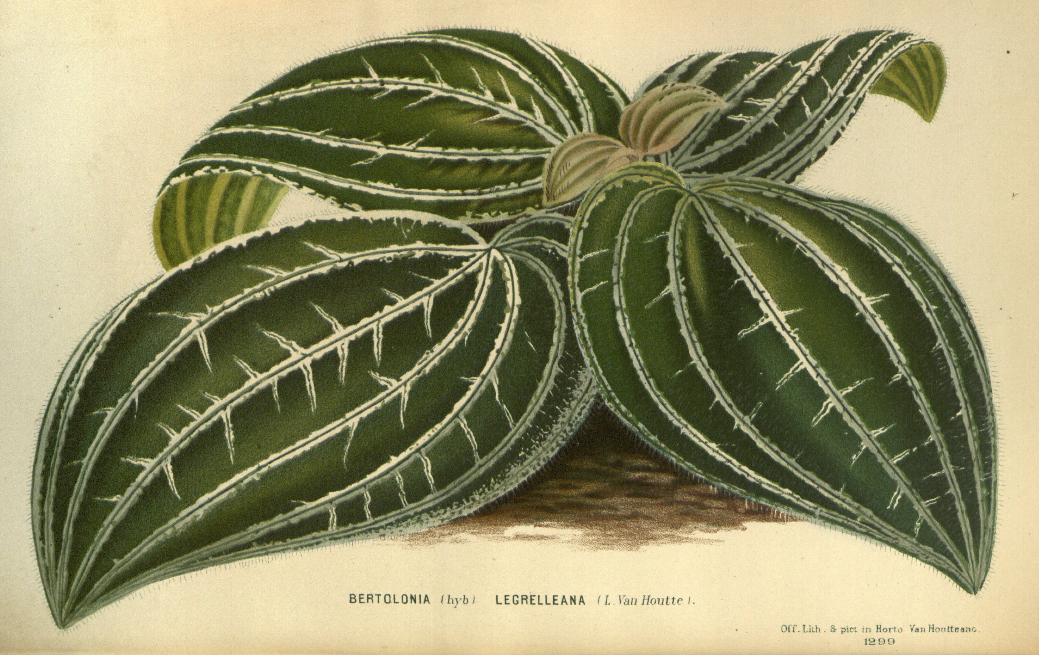 no full size  illustration available (3a)