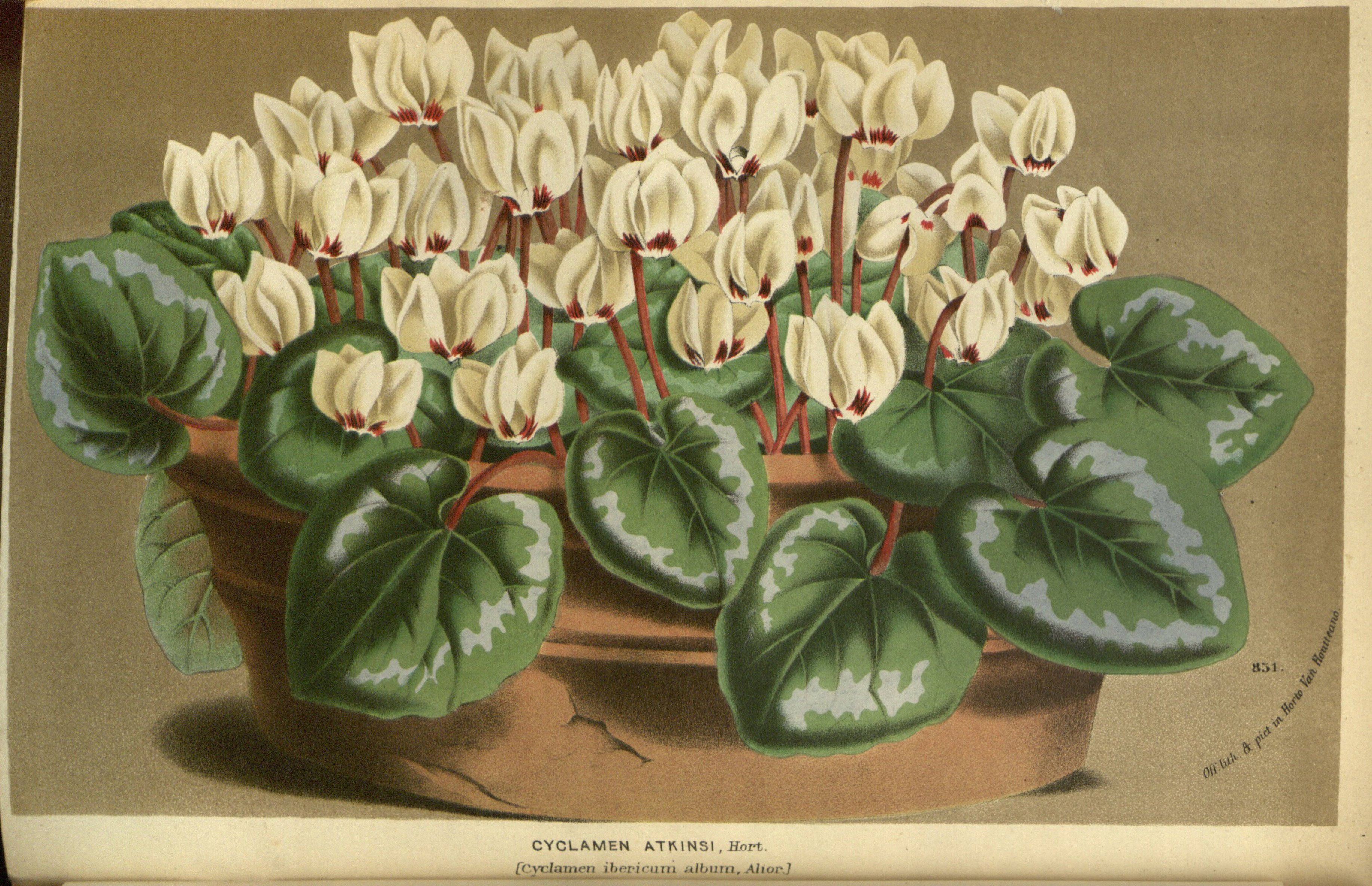 no full size  illustration available (3a)