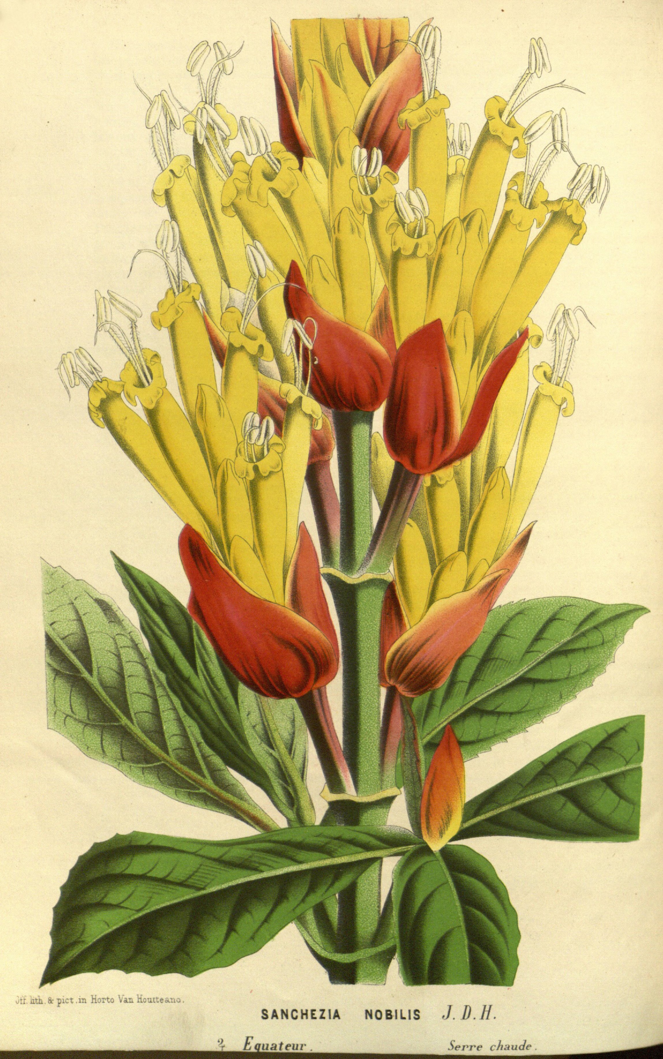 no full size  illustration available (3a)