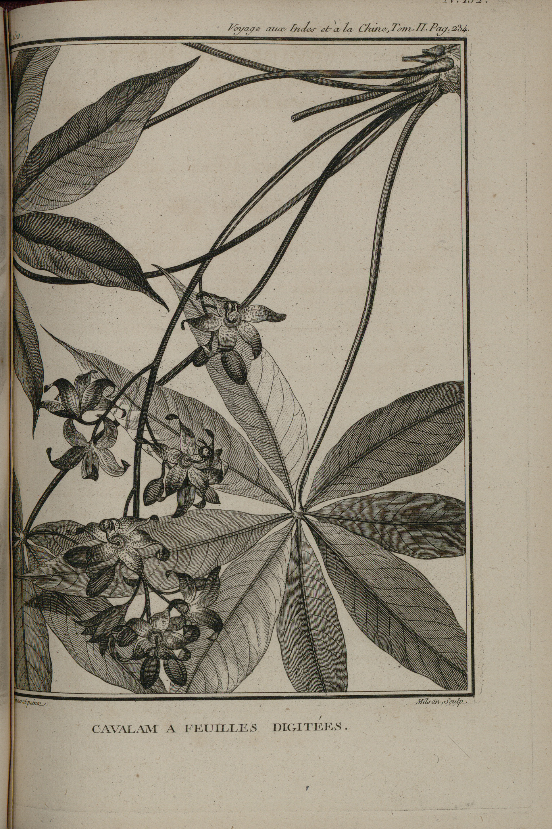 no full size  illustration available (3a)