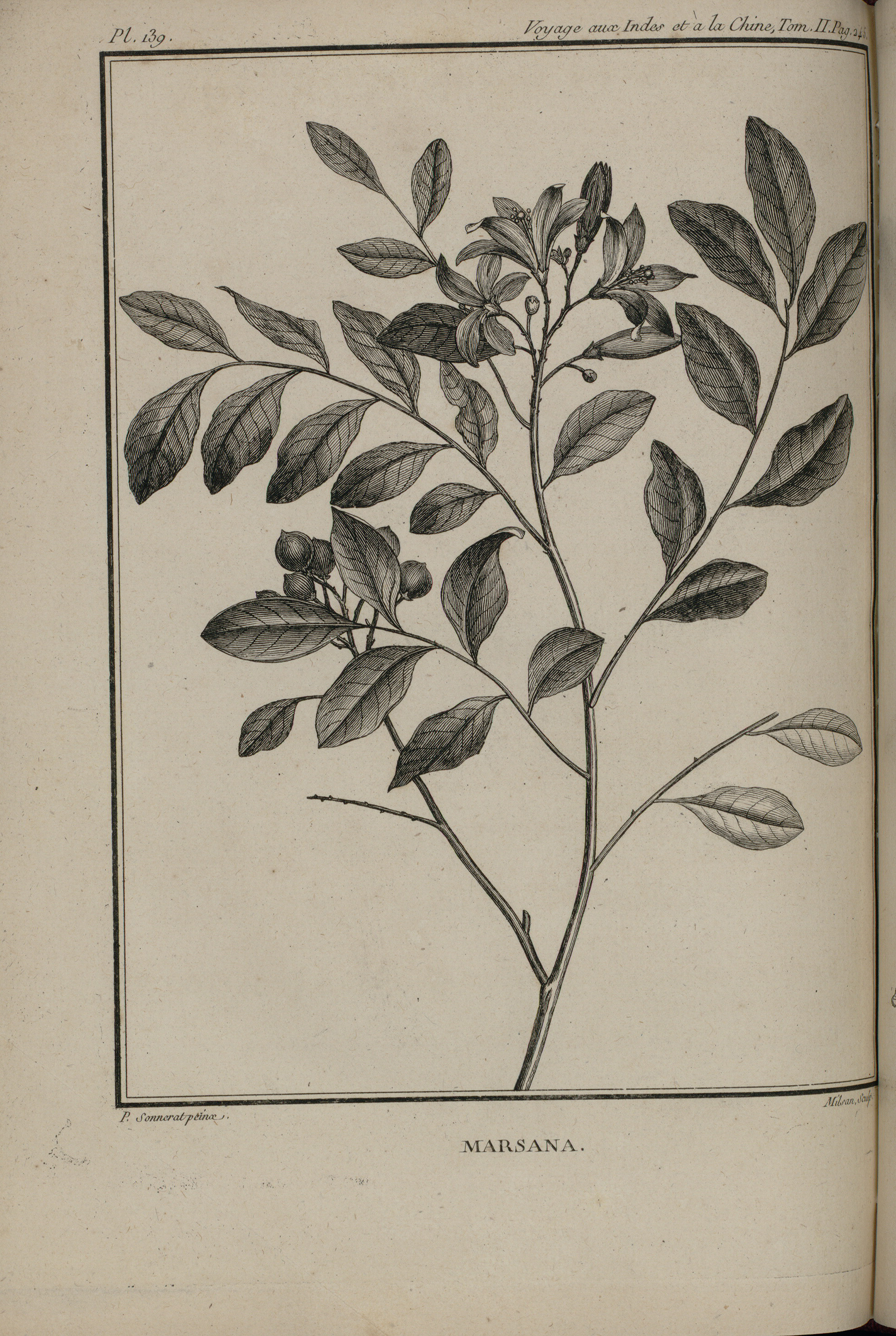 no full size  illustration available (3a)