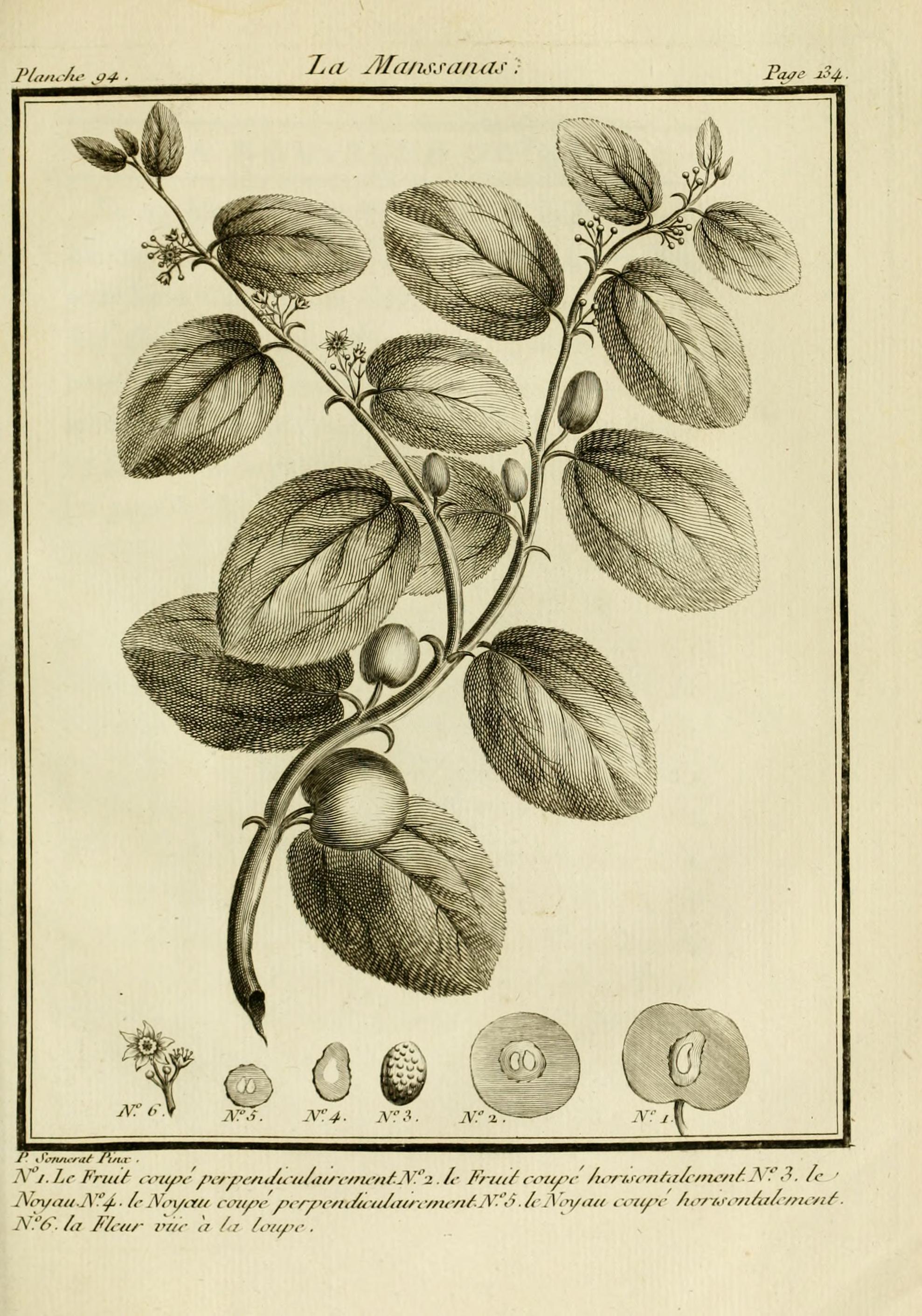 no full size  illustration available (3a)