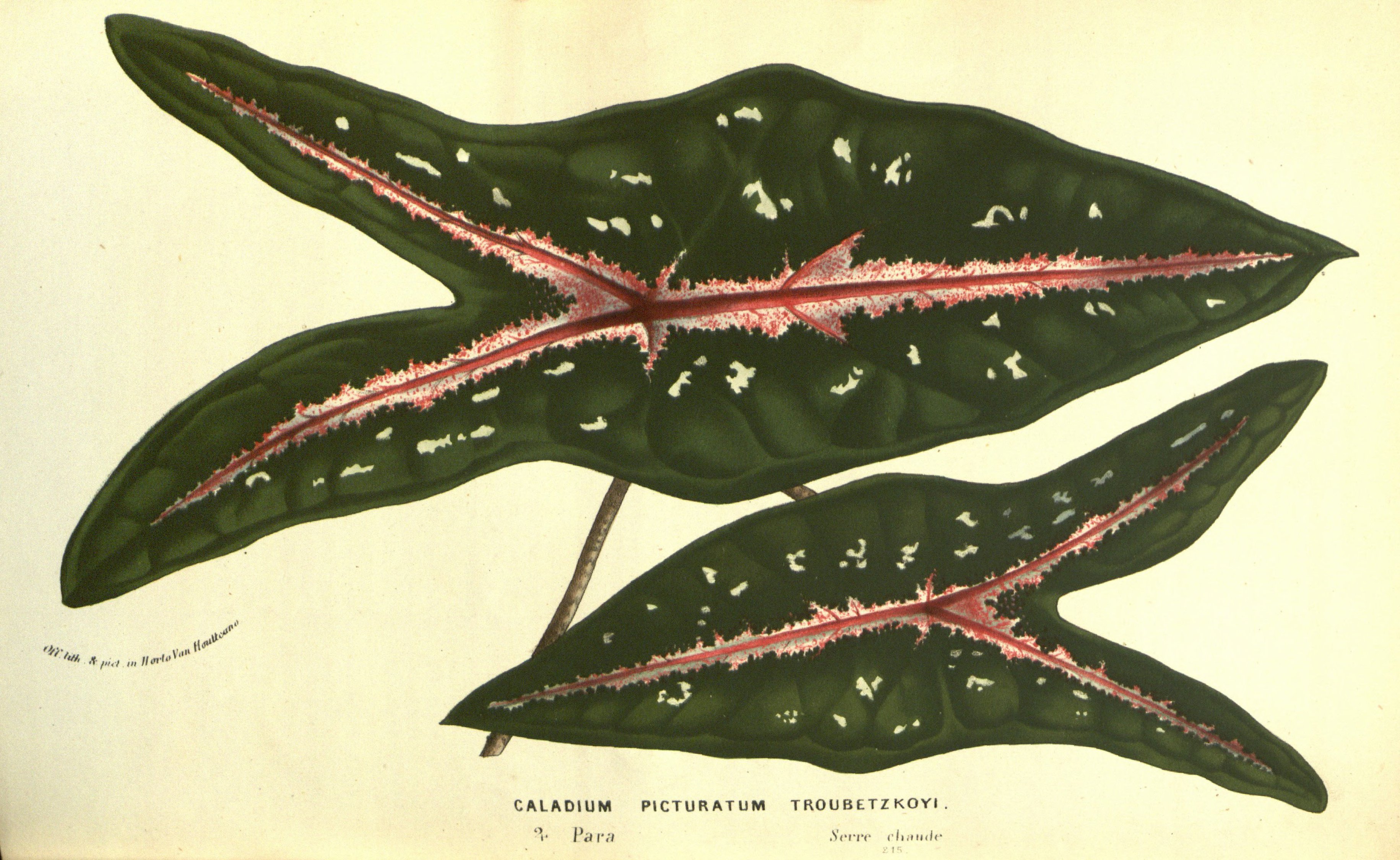 no full size  illustration available (3a)