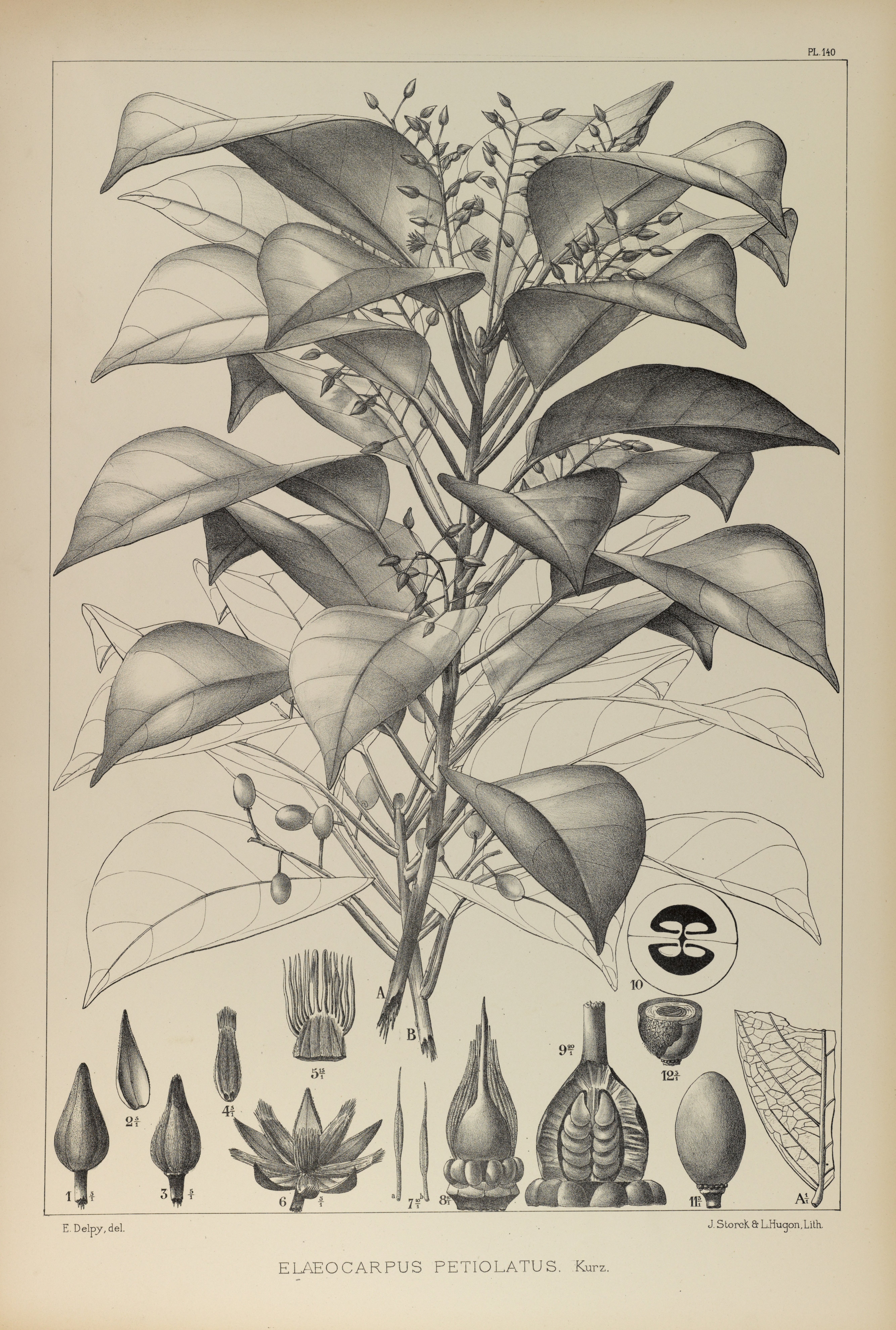 no full size  illustration available (3a)