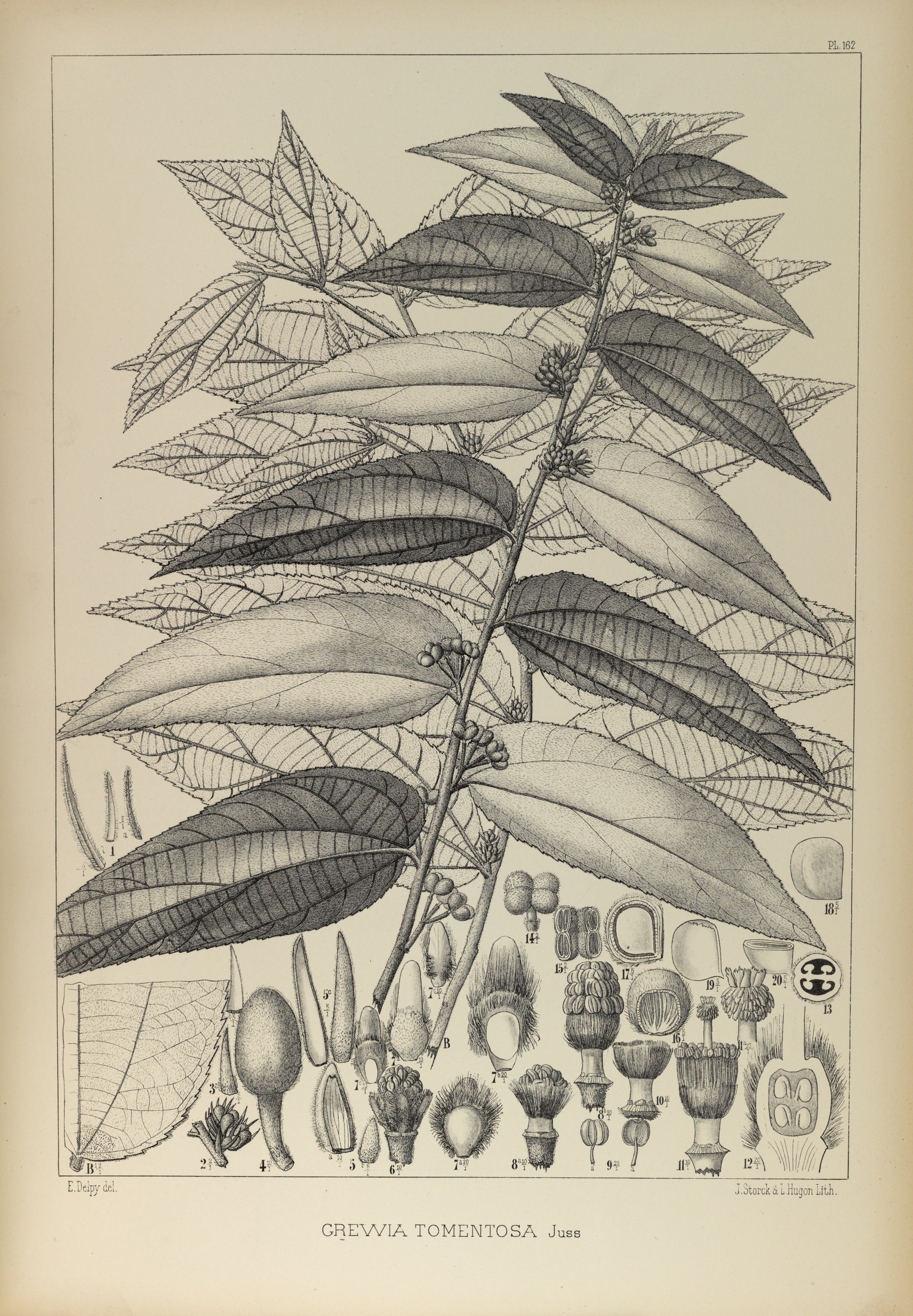 no full size  illustration available (3a)