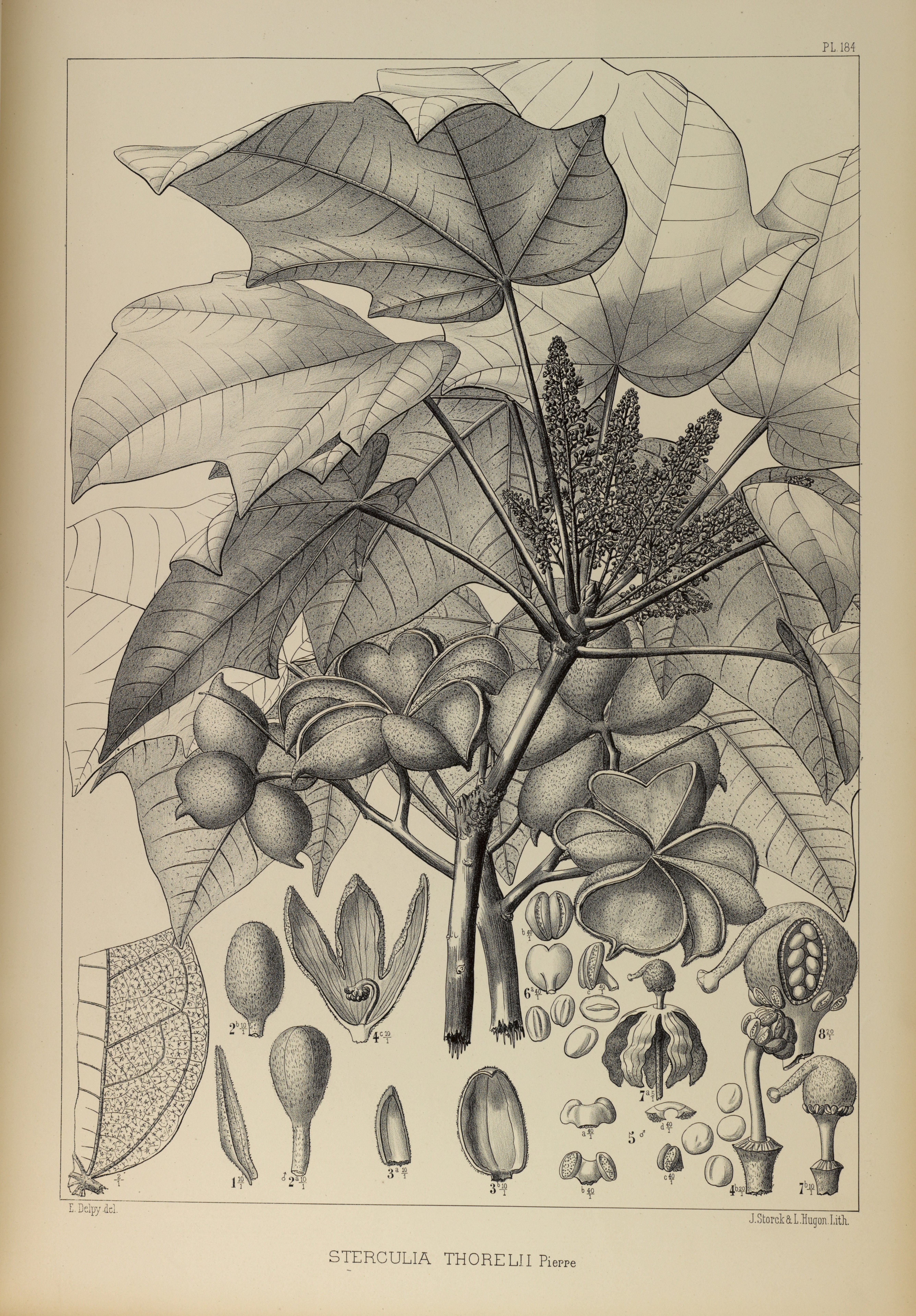 no full size  illustration available (3a)