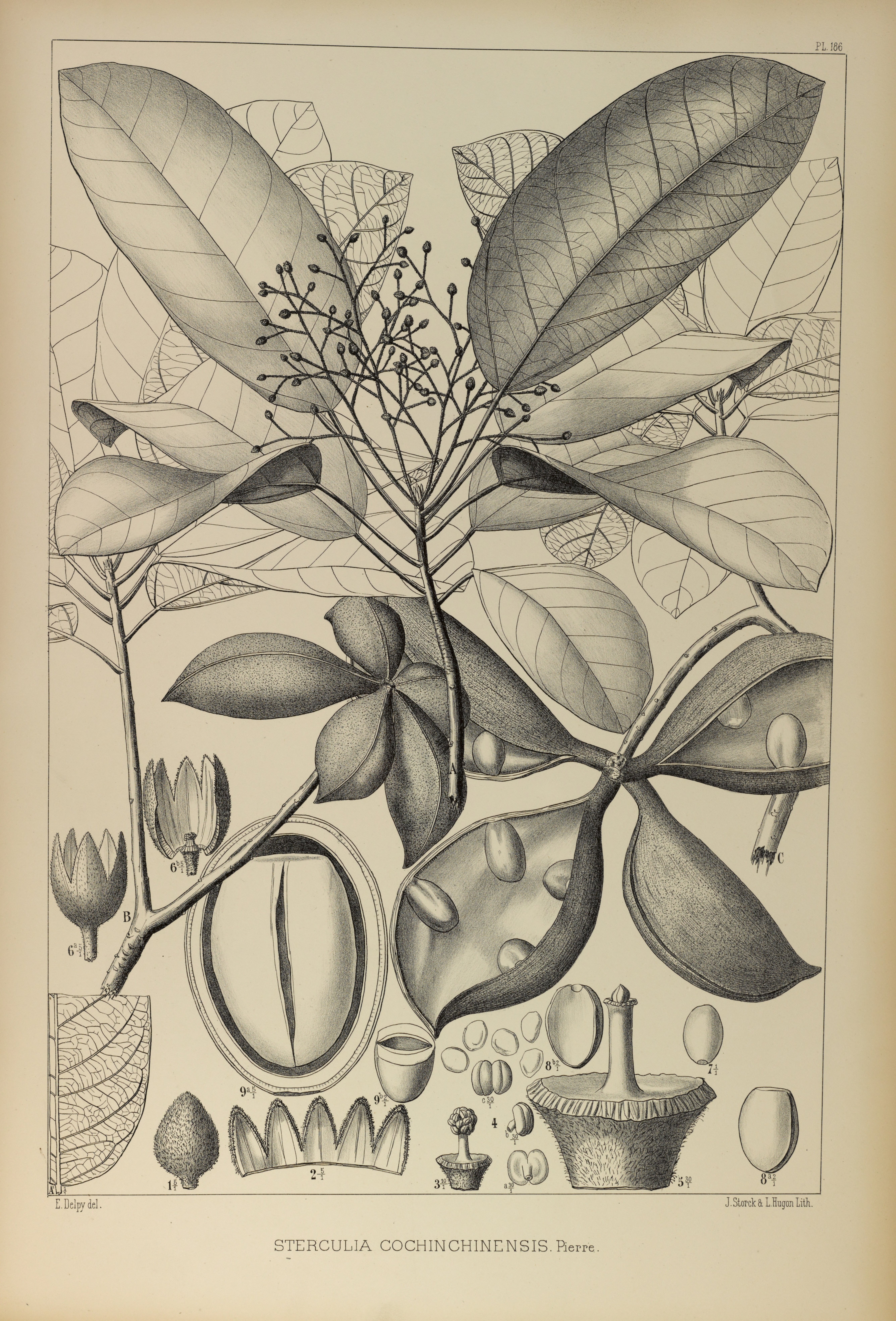 no full size  illustration available (3a)