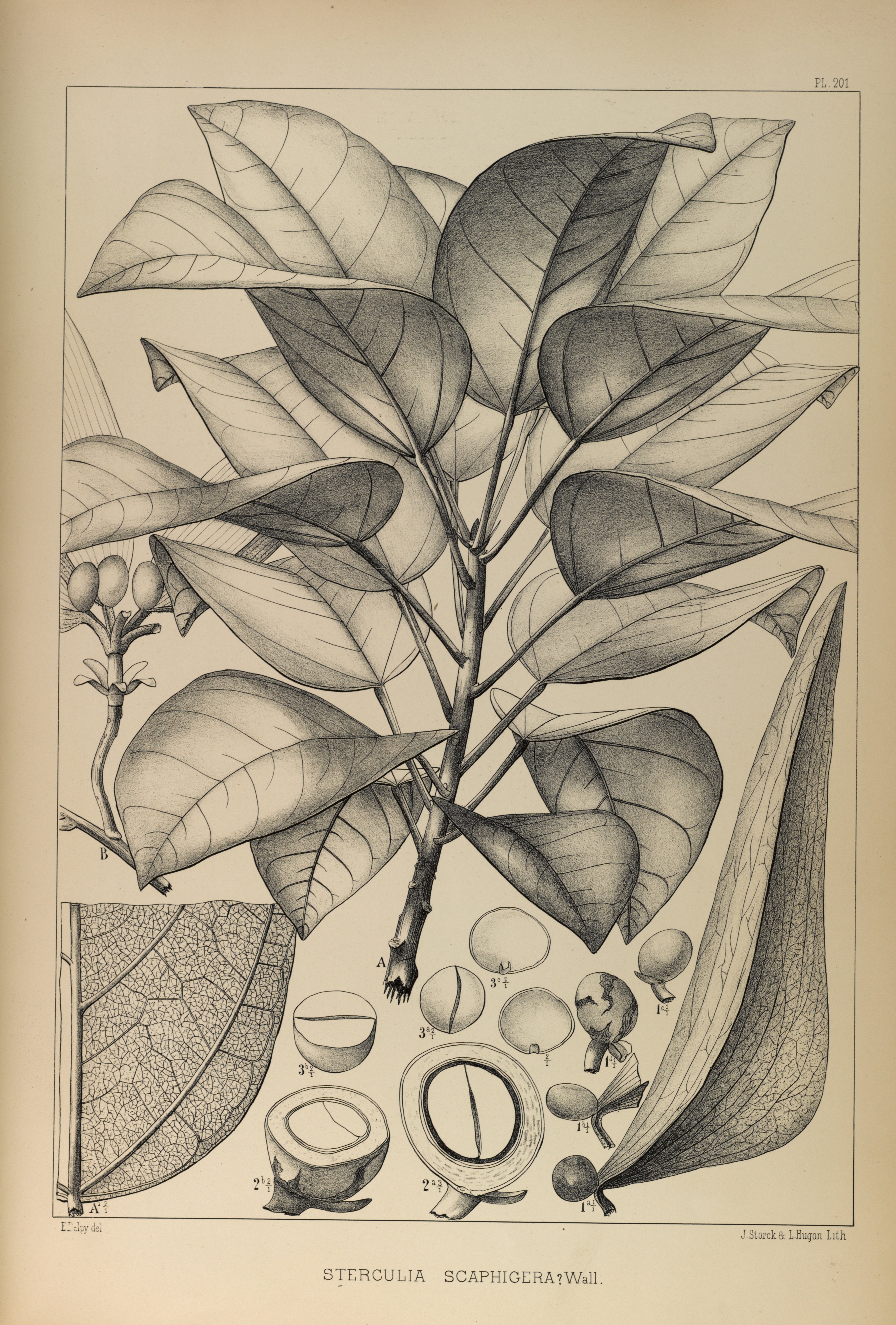 no full size  illustration available (3a)