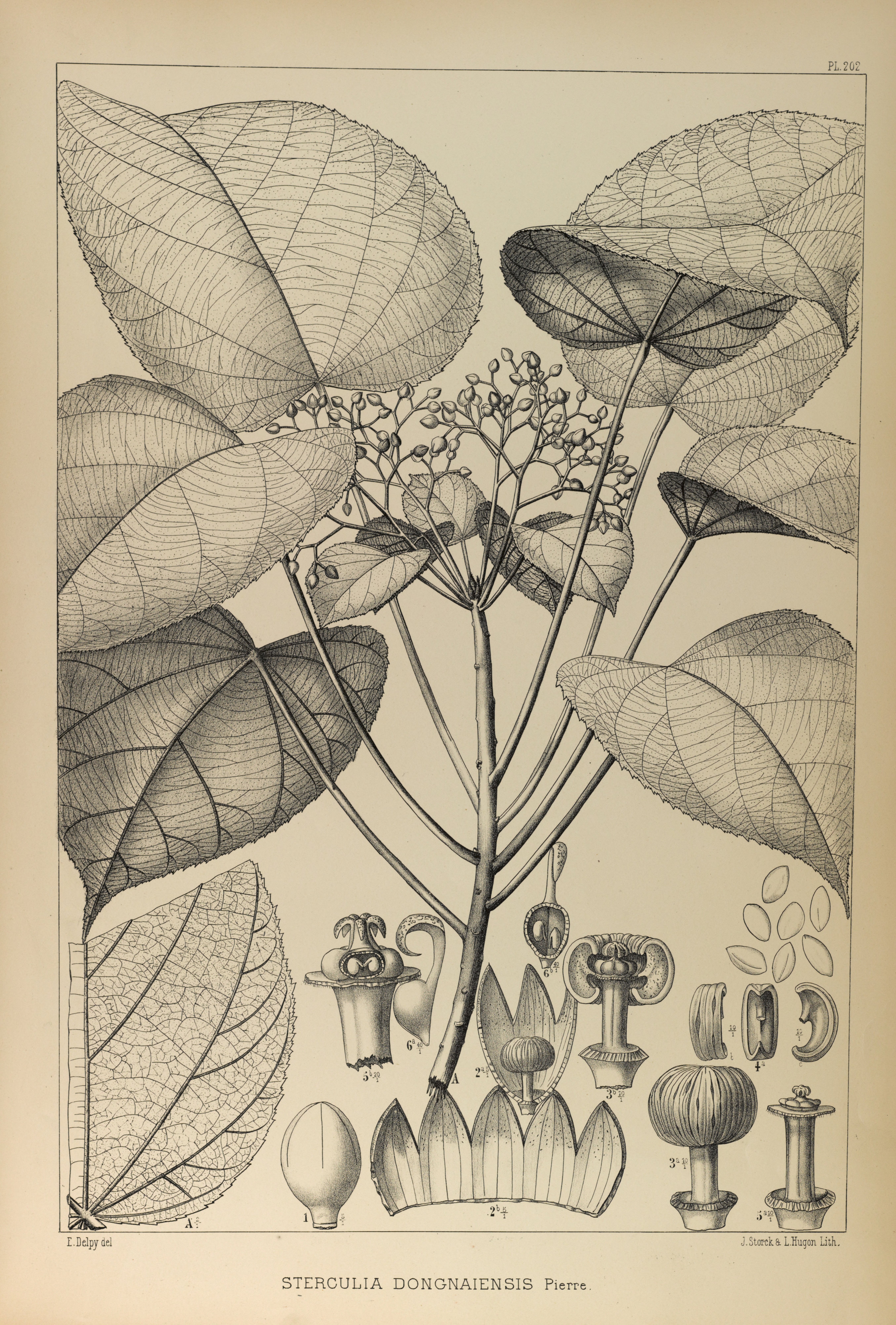 no full size  illustration available (3a)