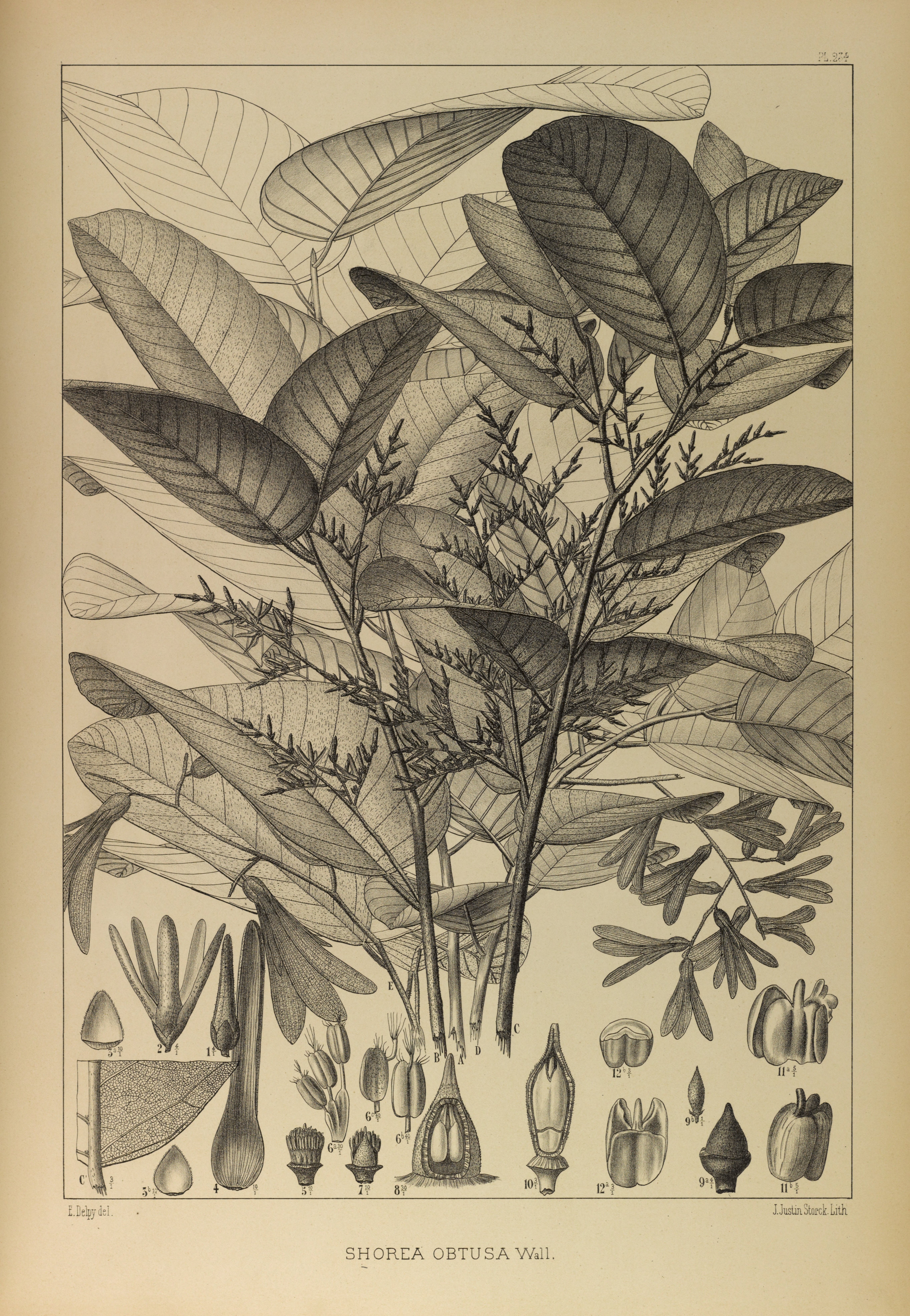 no full size  illustration available (3a)