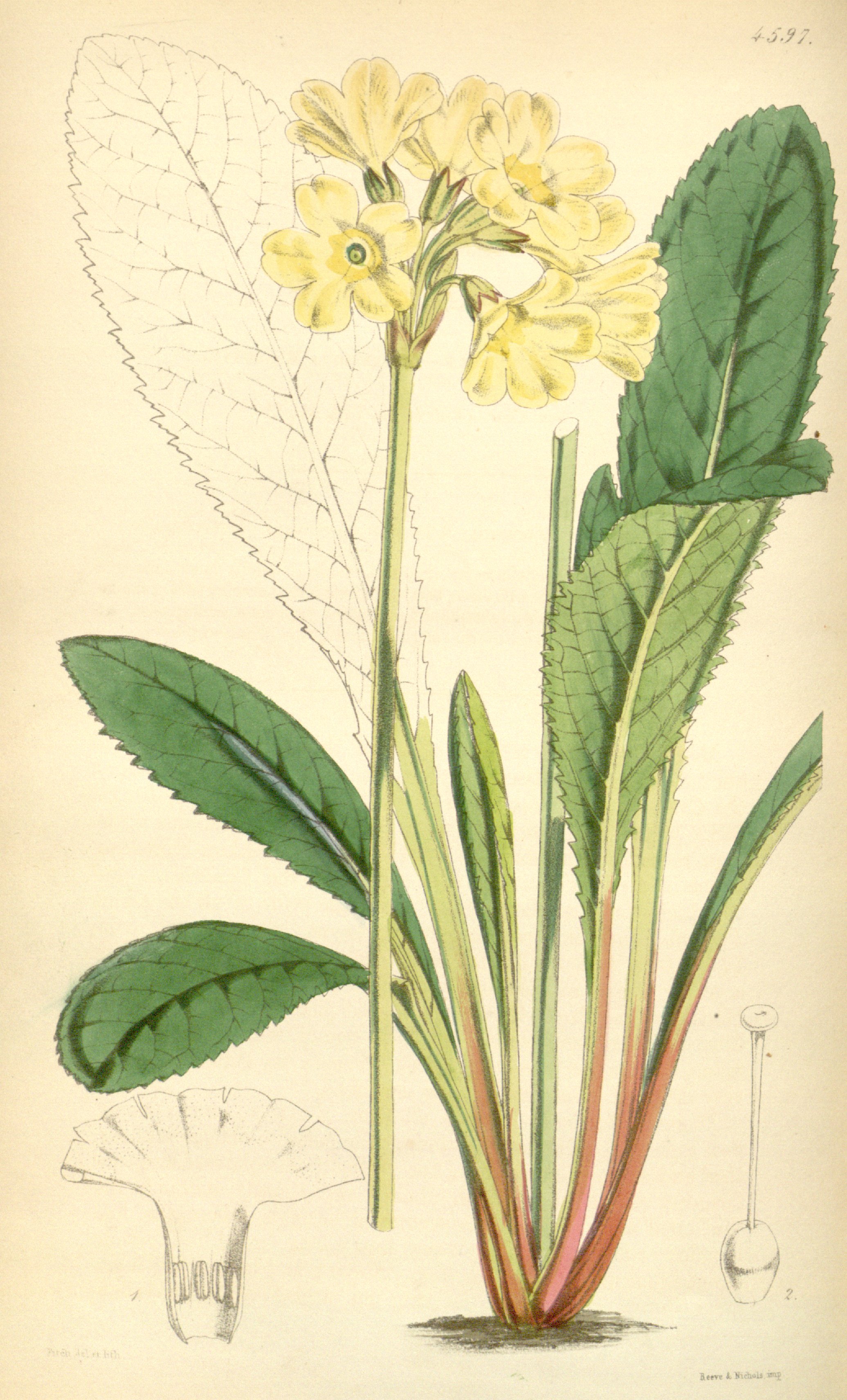 no full size  illustration available (3a)