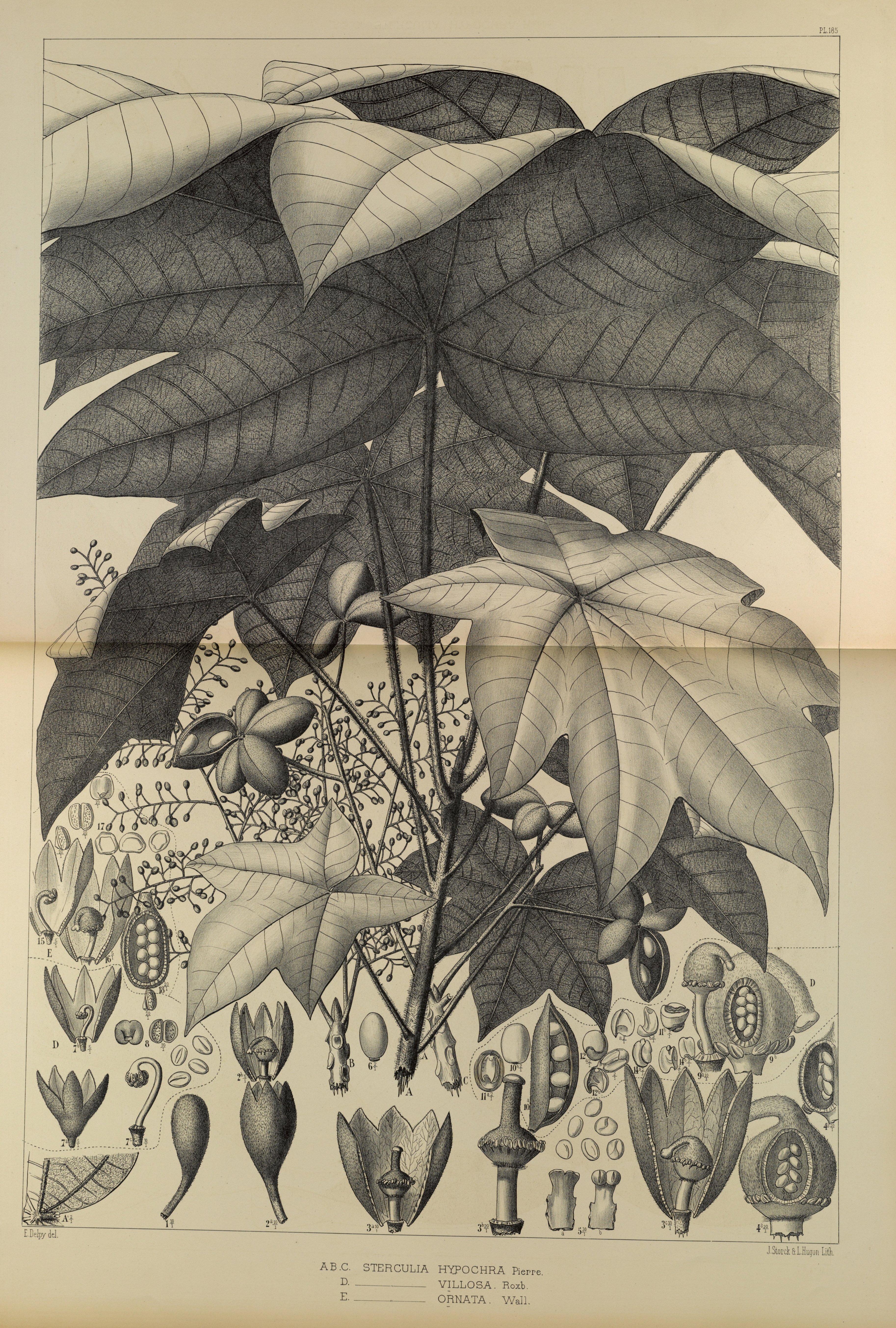 no full size  illustration available (3a)