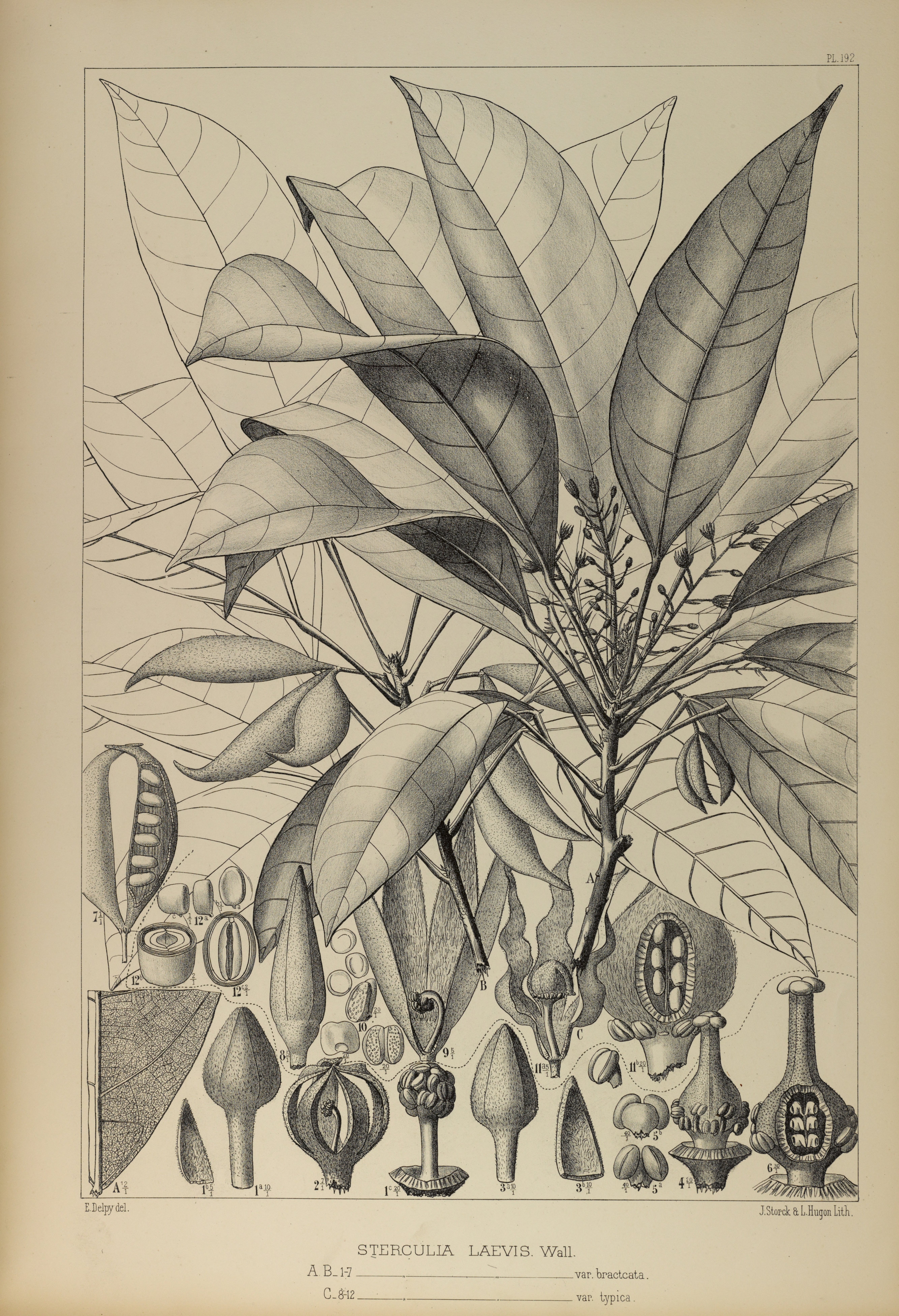 no full size  illustration available (3a)