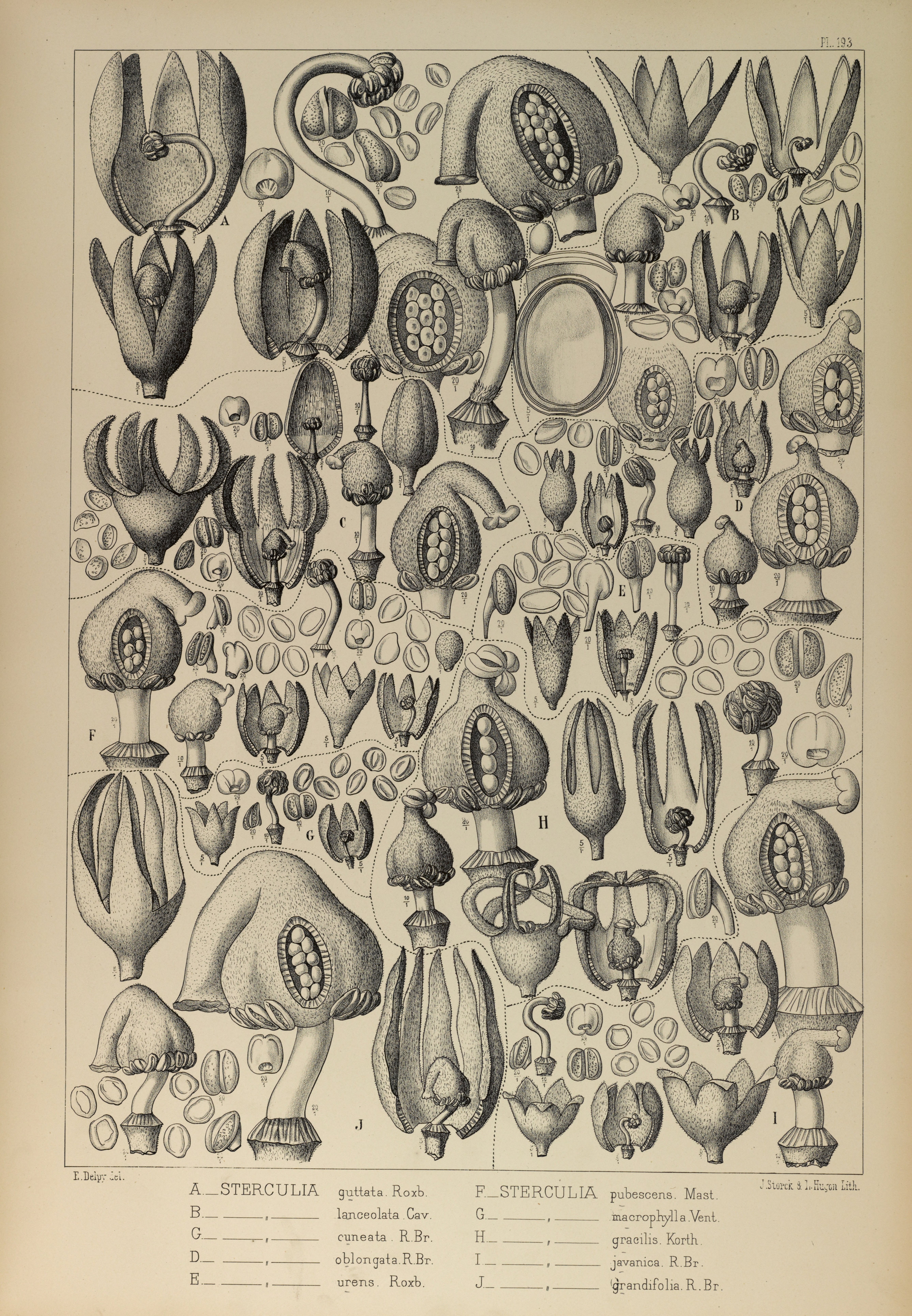 no full size  illustration available (3a)