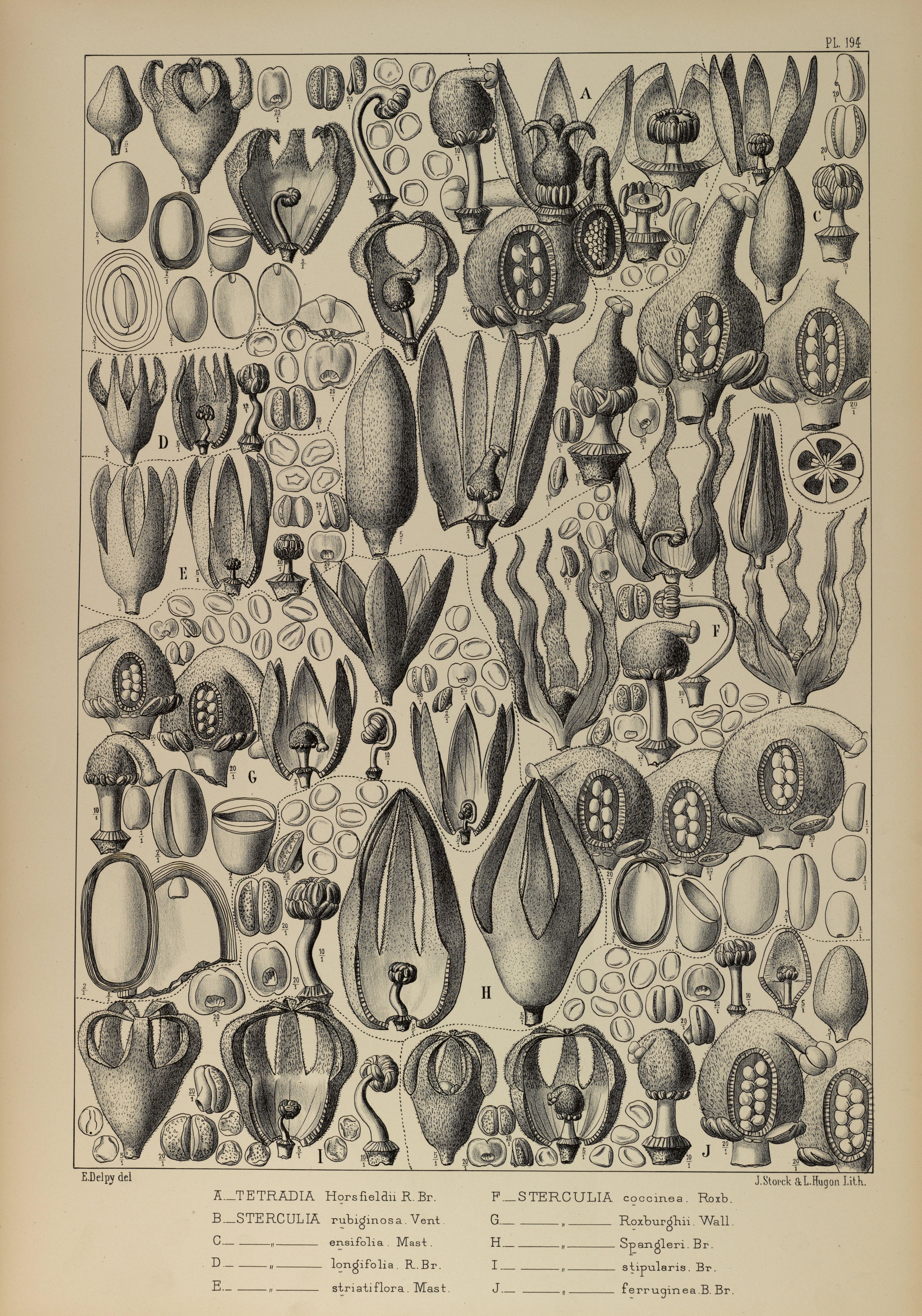 no full size  illustration available (3a)