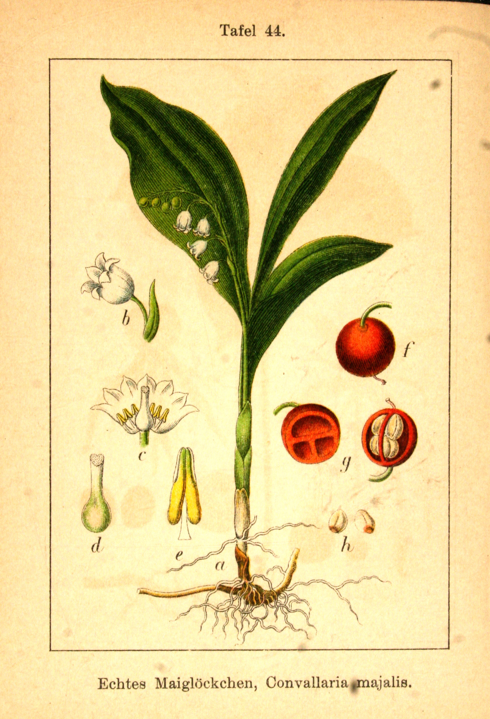 no full size  illustration available (3a)