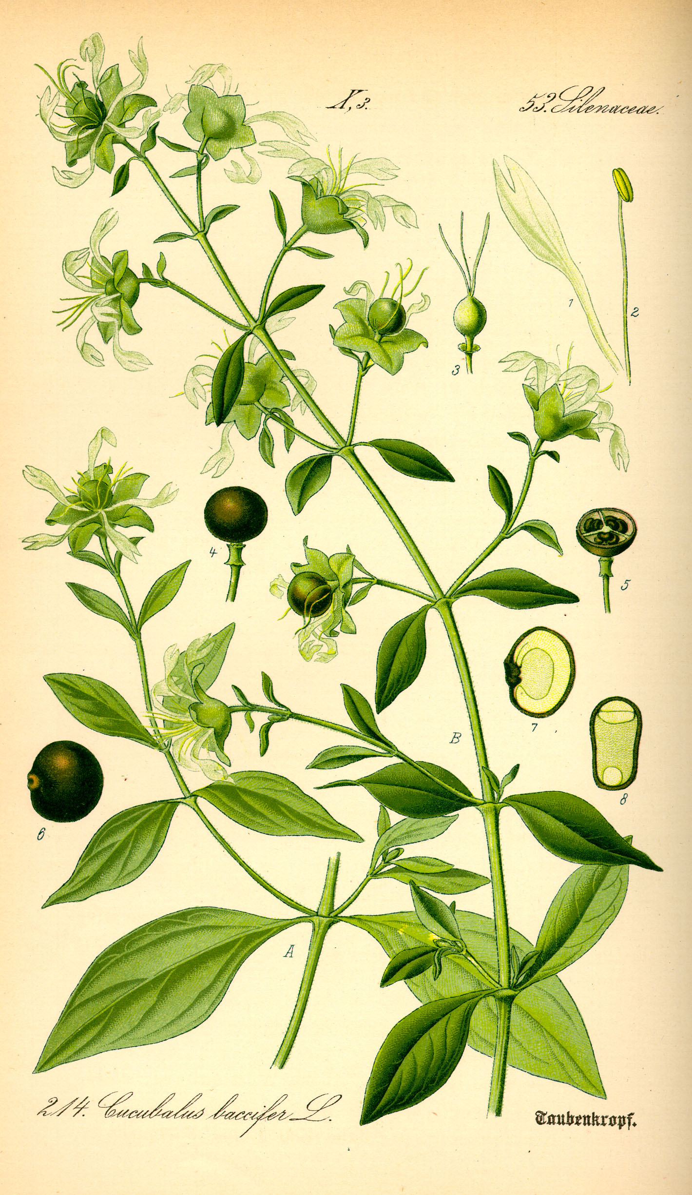 no full size  illustration available (3a)