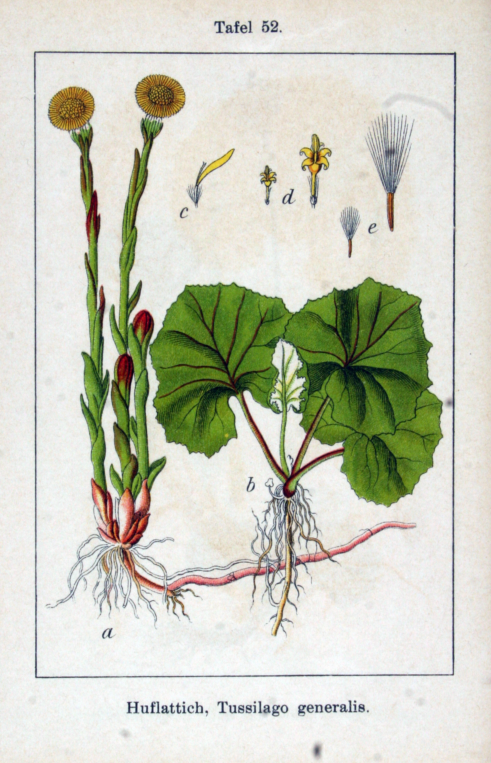 no full size  illustration available (3a)