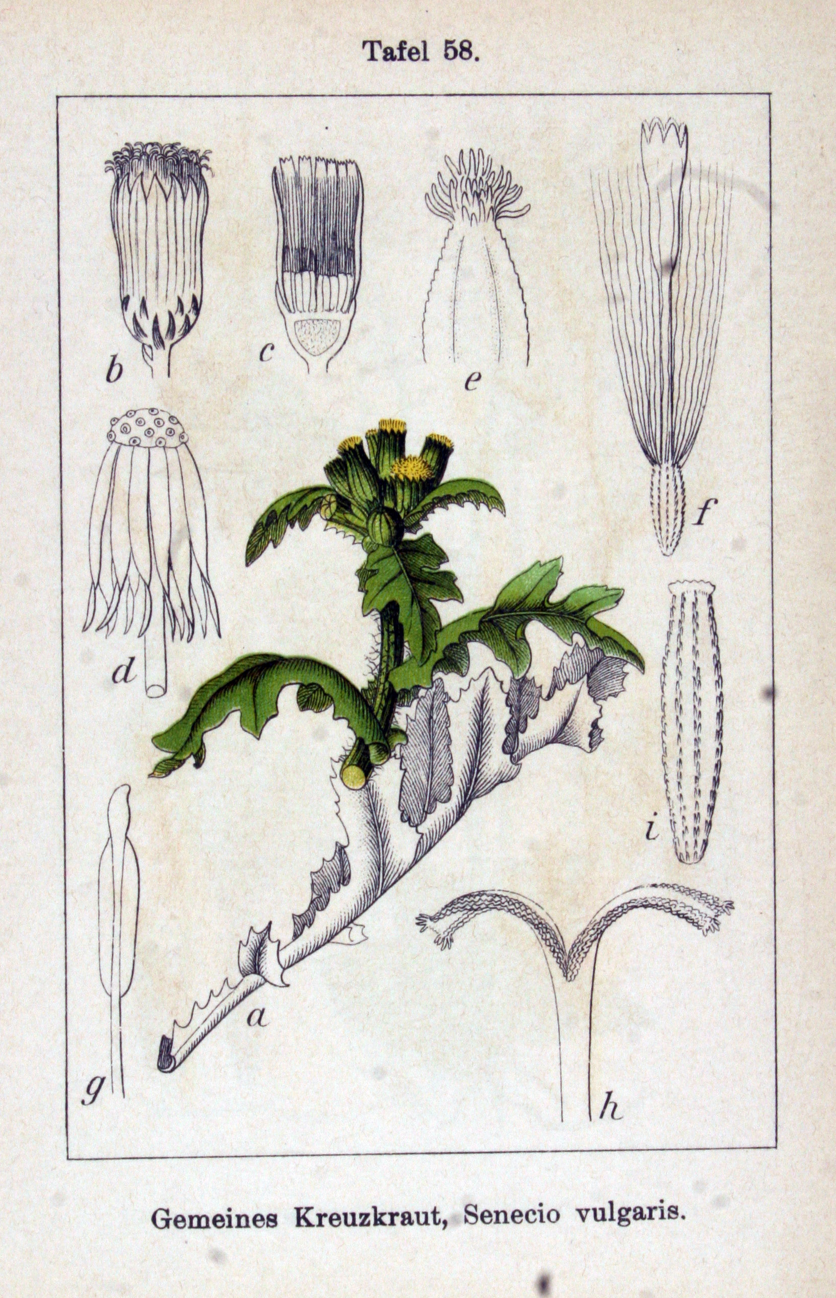 no full size  illustration available (3a)