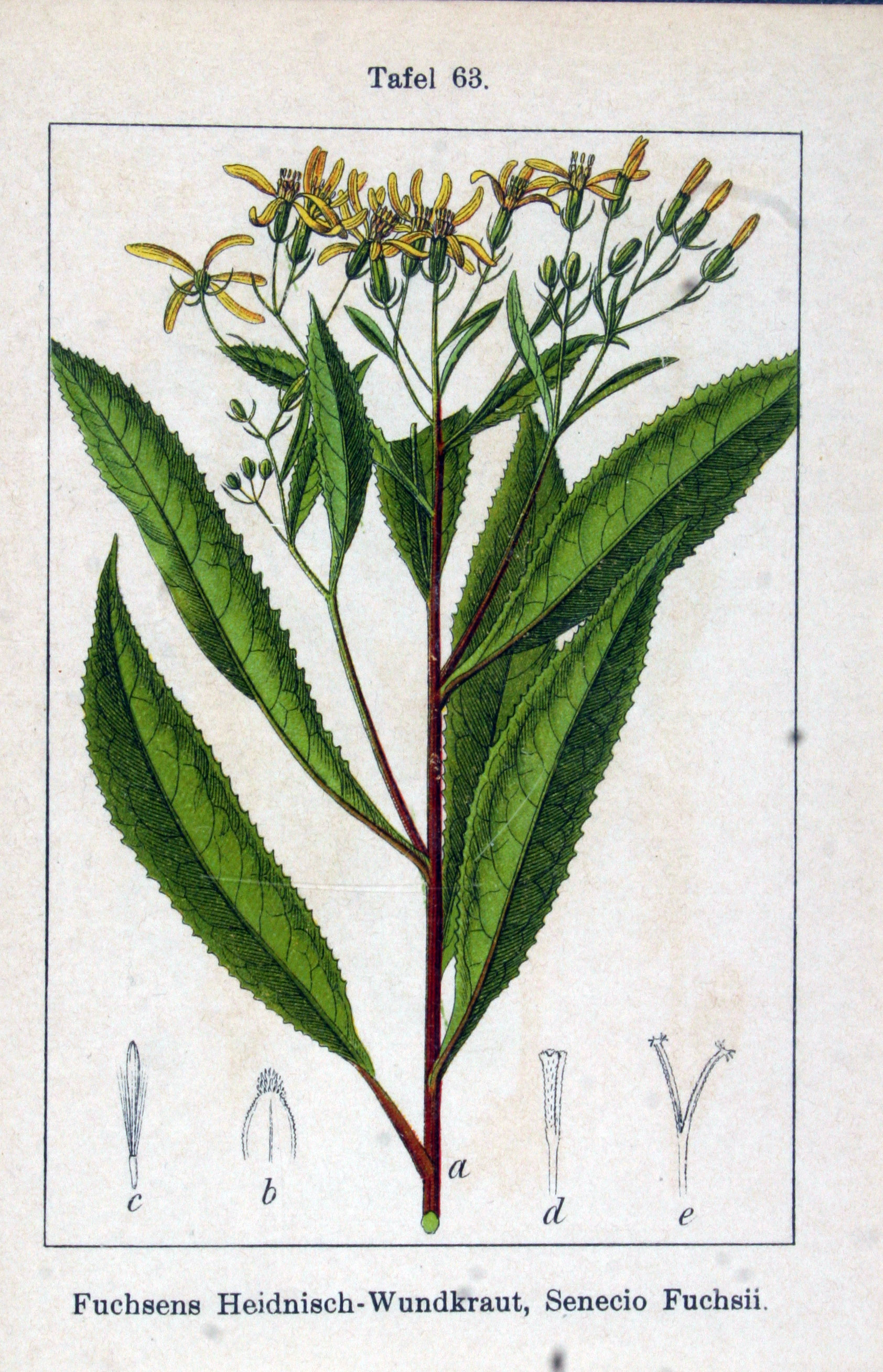 no full size  illustration available (3a)