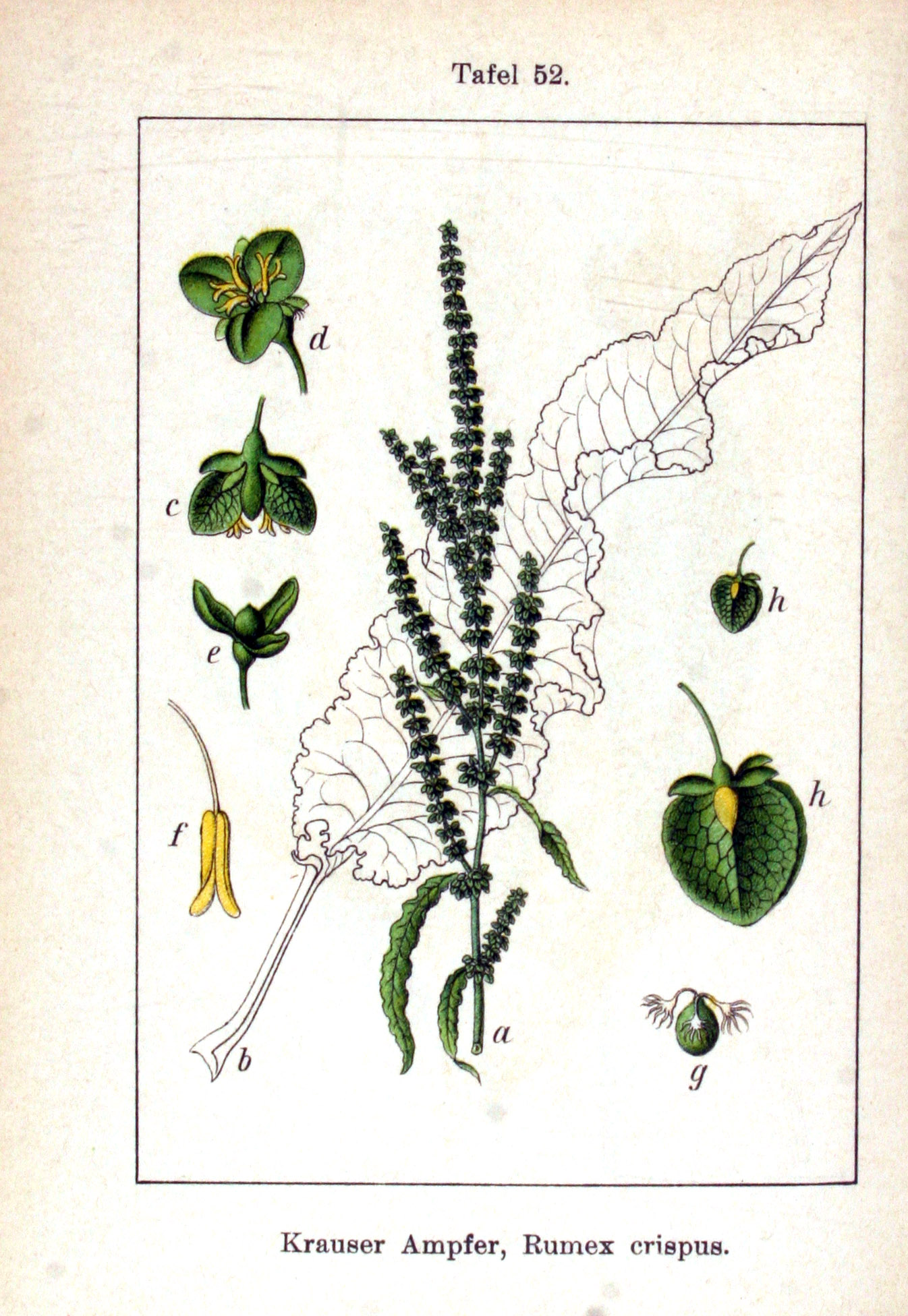 no full size  illustration available (3a)