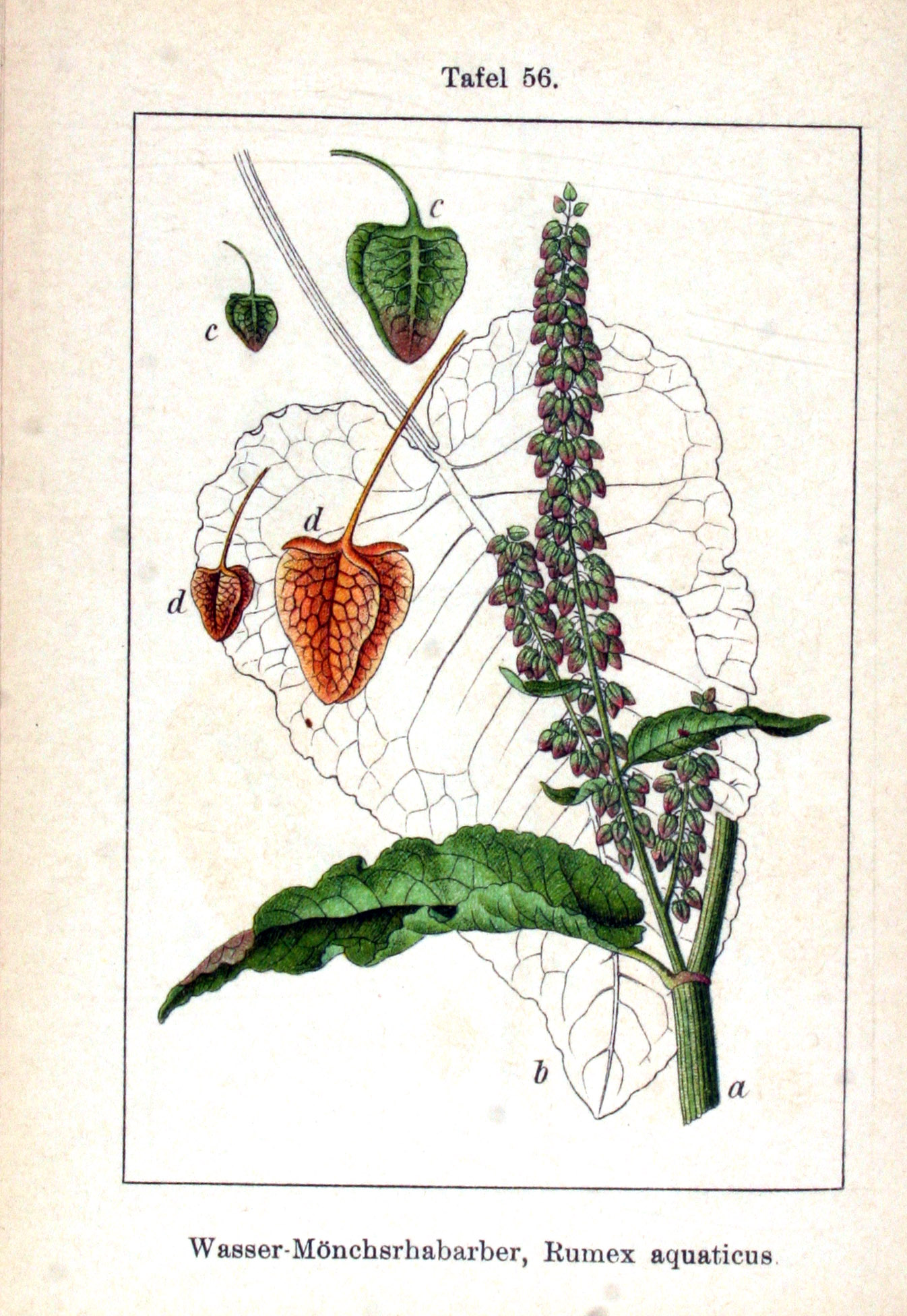 no full size  illustration available (3a)