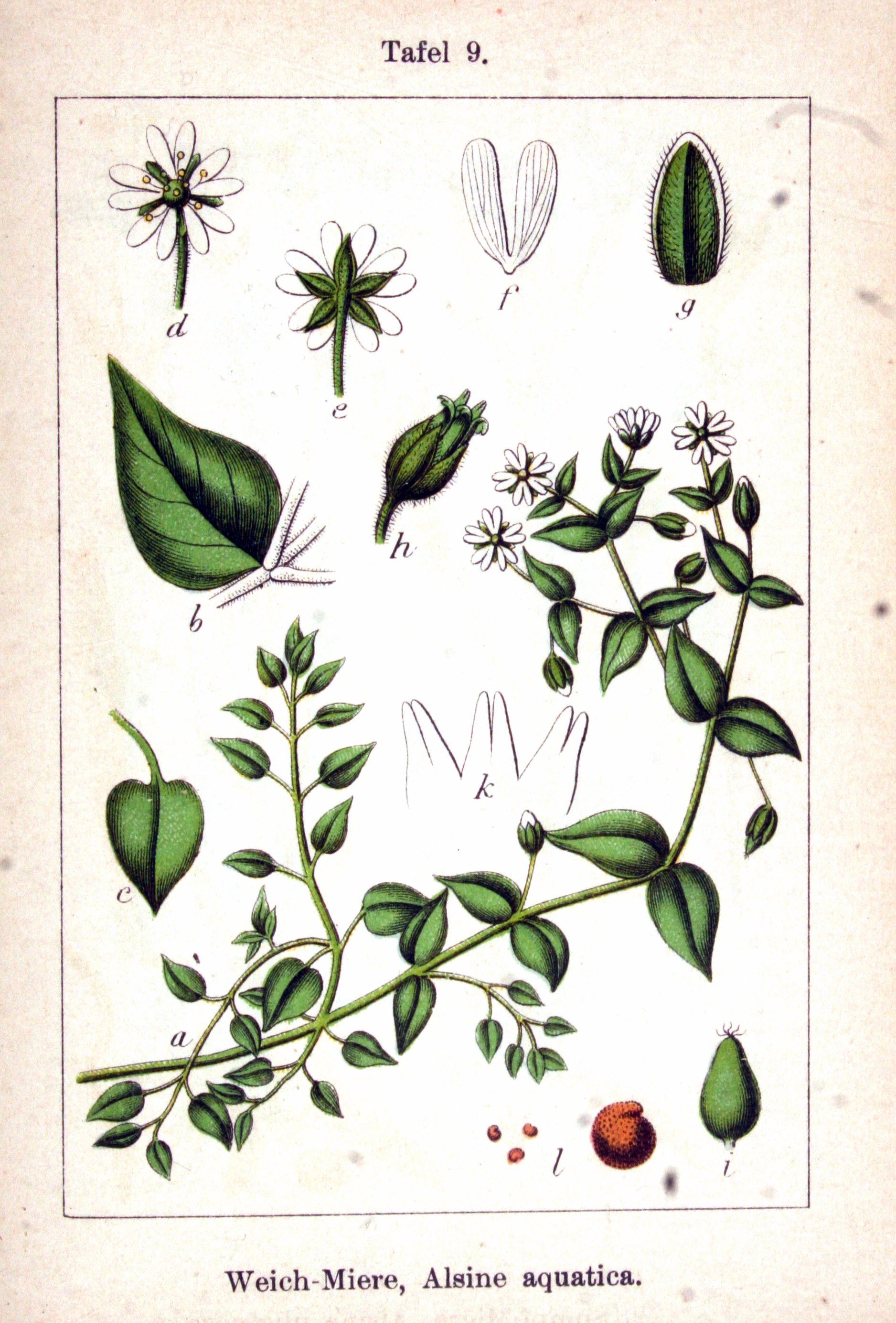 no full size  illustration available (3a)