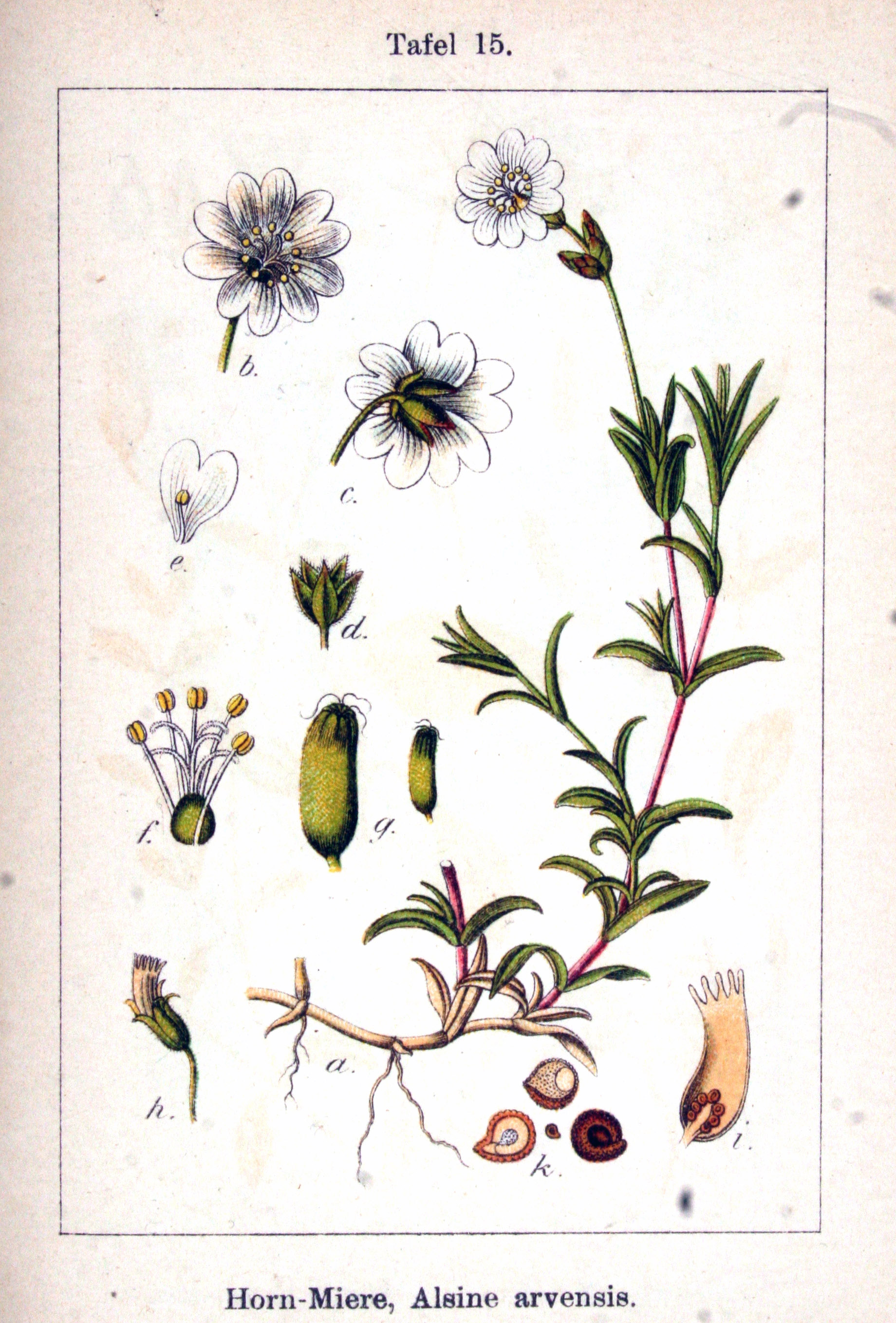 no full size  illustration available (3a)