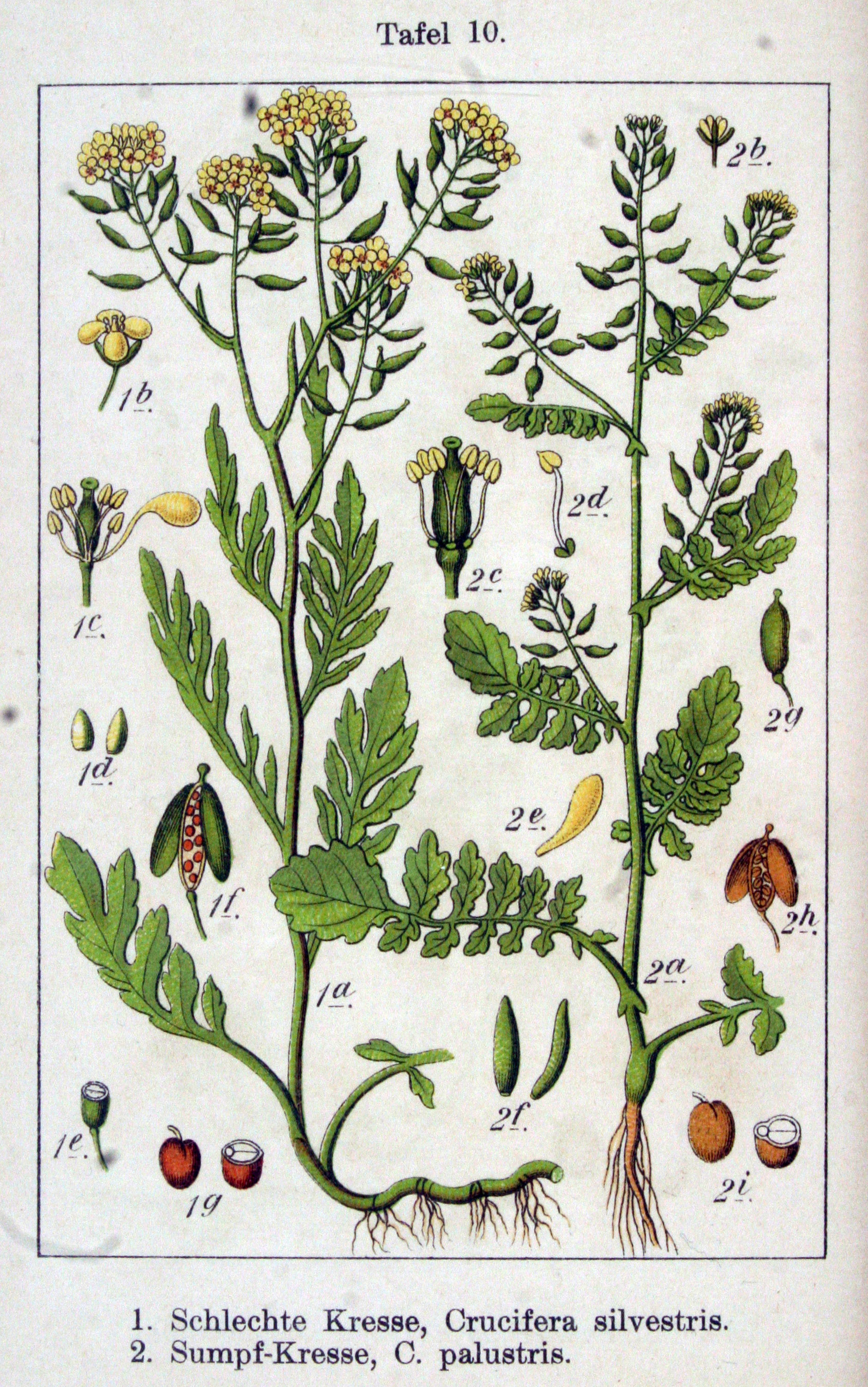 no full size  illustration available (3a)