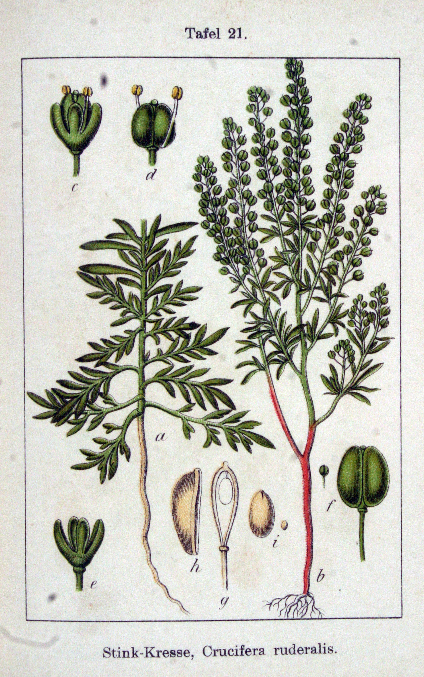 no full size  illustration available (3a)