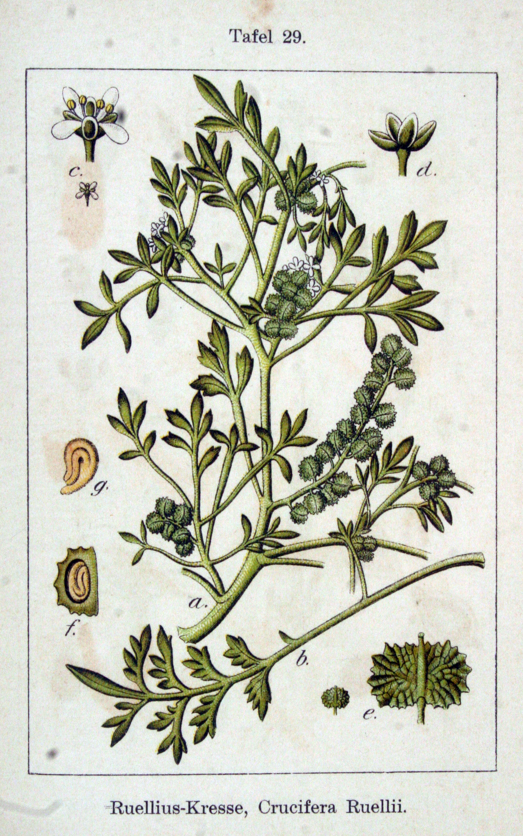 no full size  illustration available (3a)