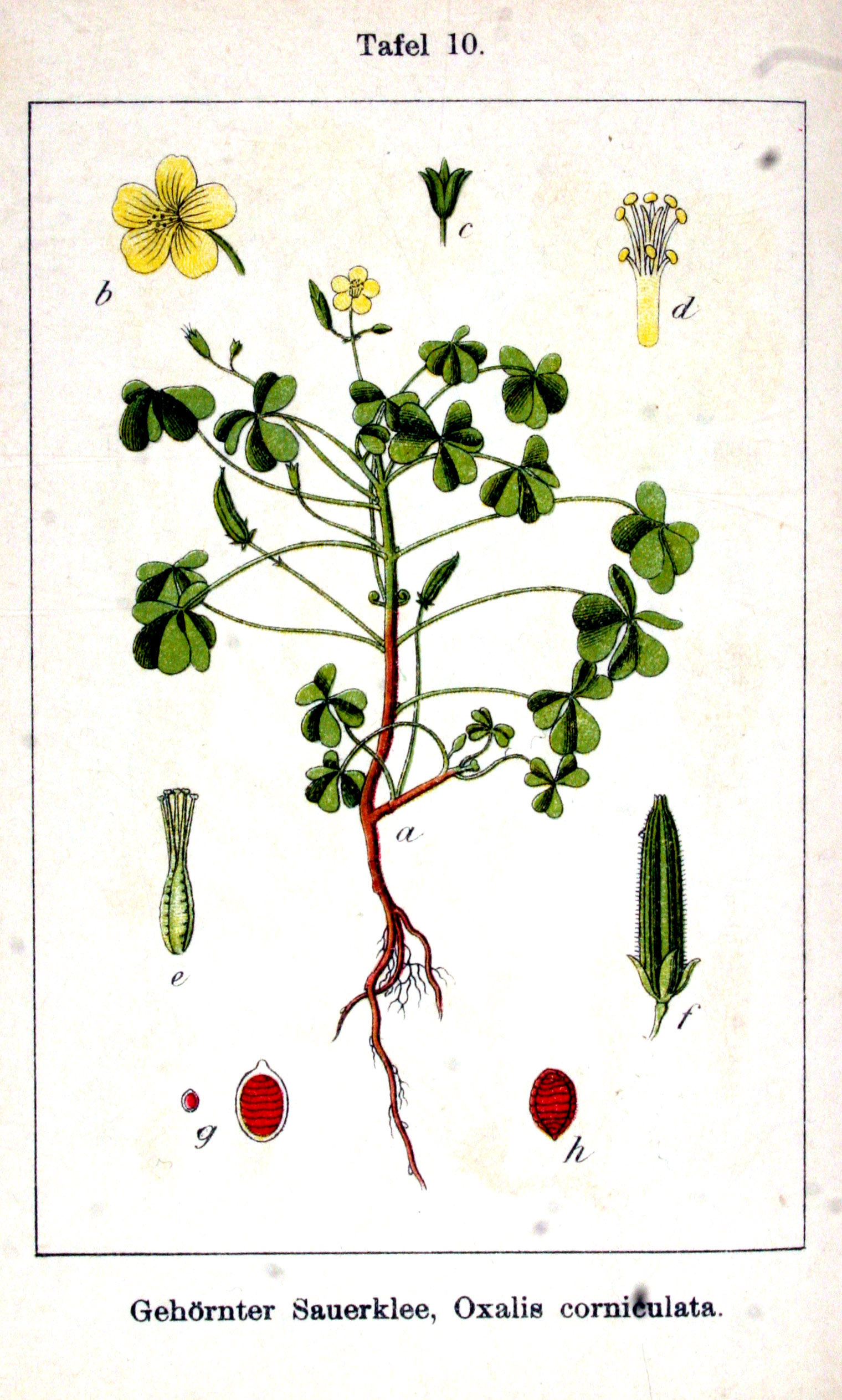 no full size  illustration available (3a)