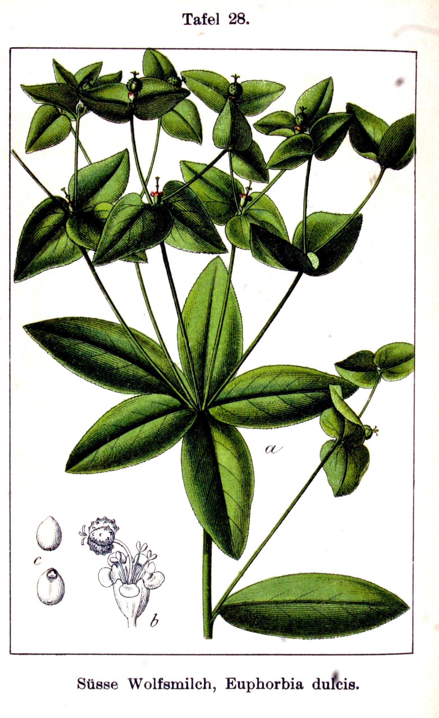 no full size  illustration available (3a)