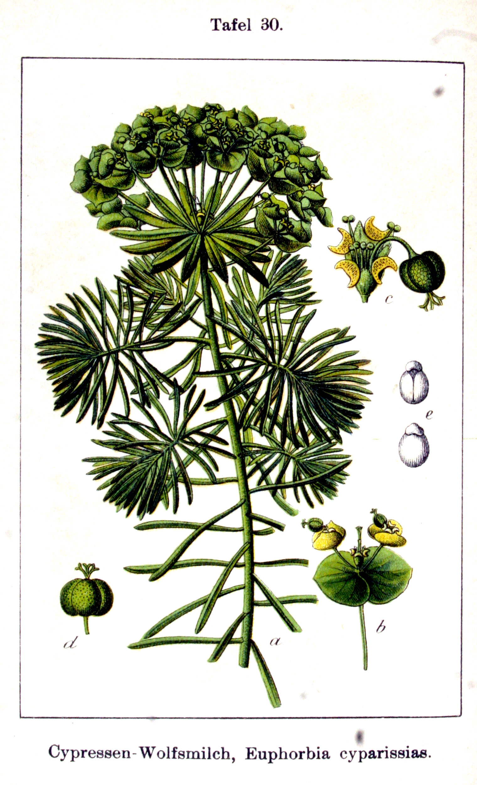 no full size  illustration available (3a)