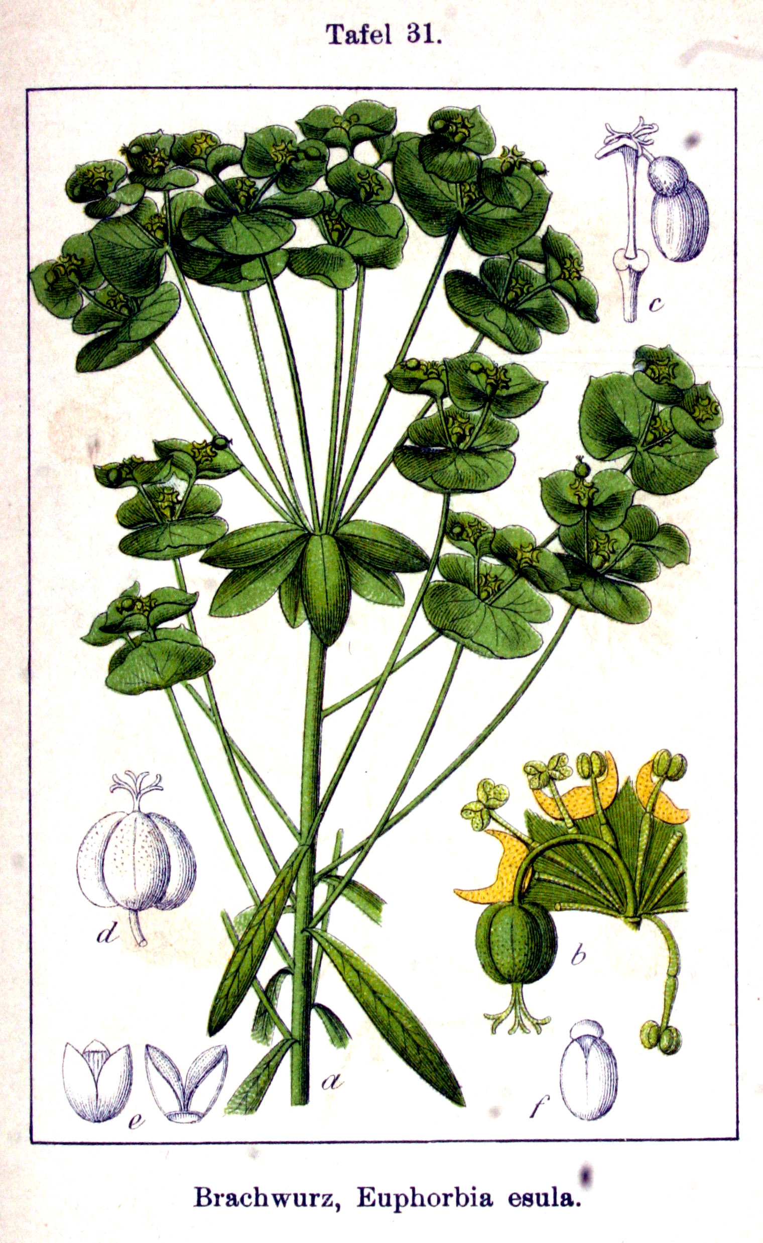 no full size  illustration available (3a)