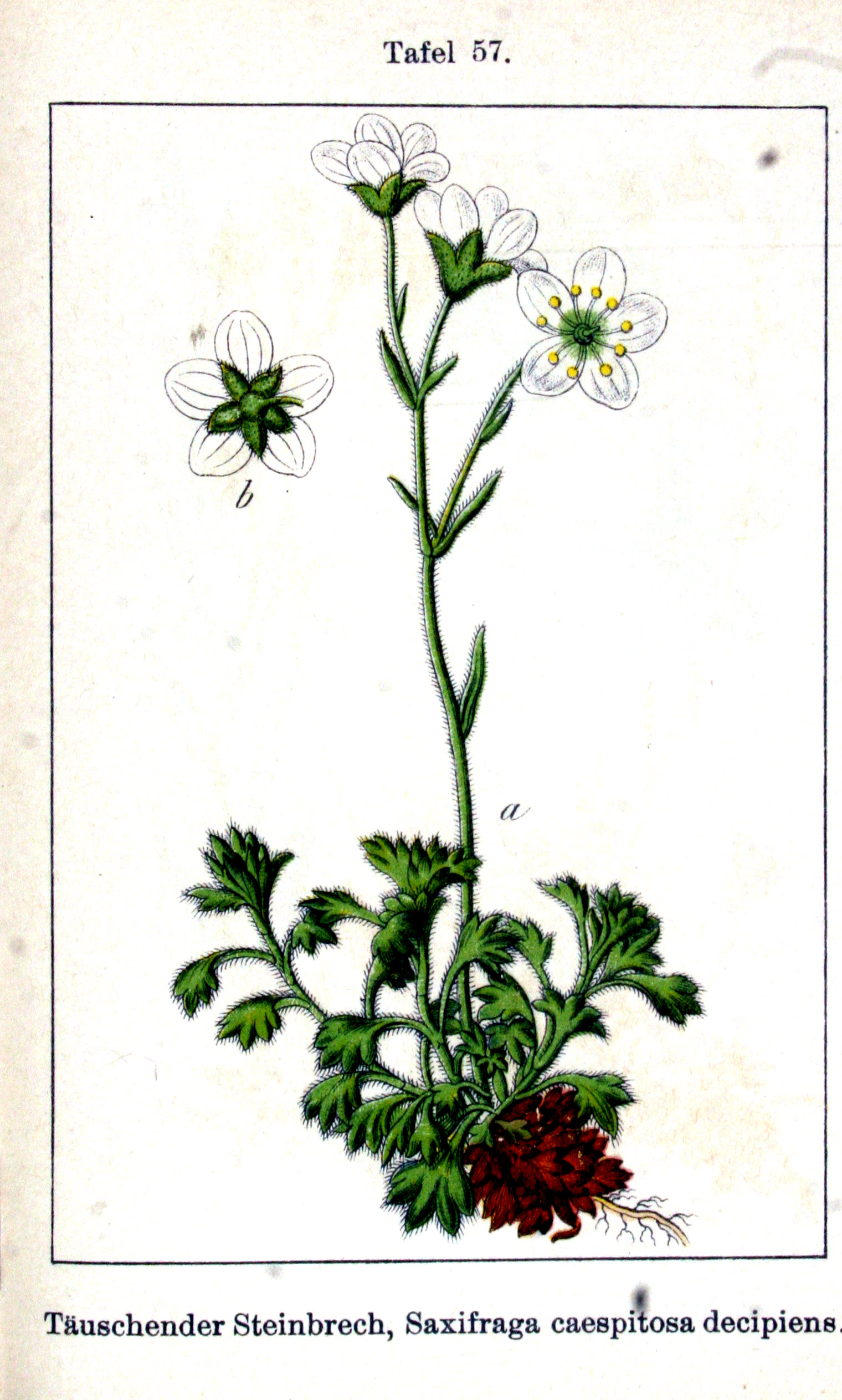 no full size  illustration available (3a)