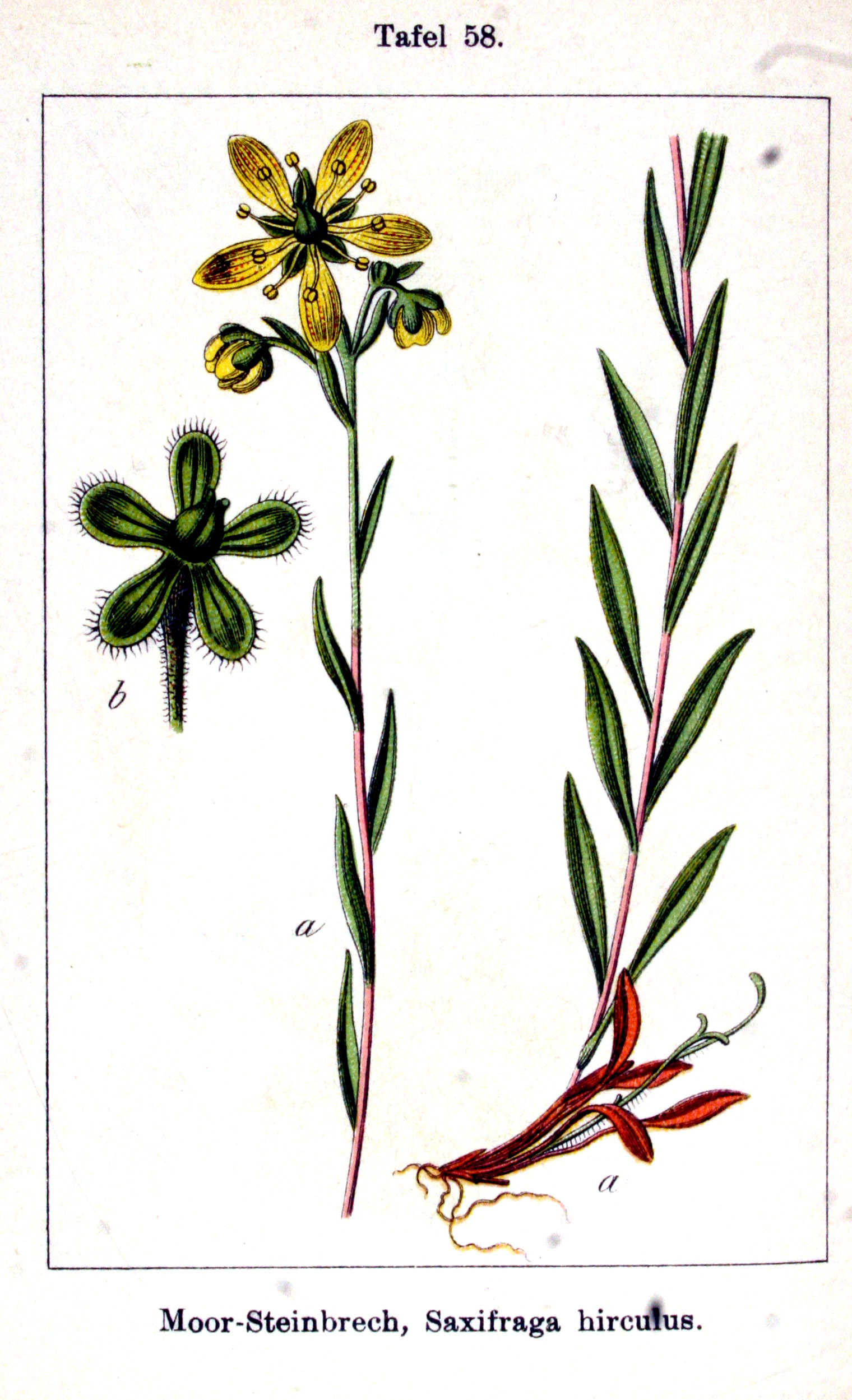 no full size  illustration available (3a)