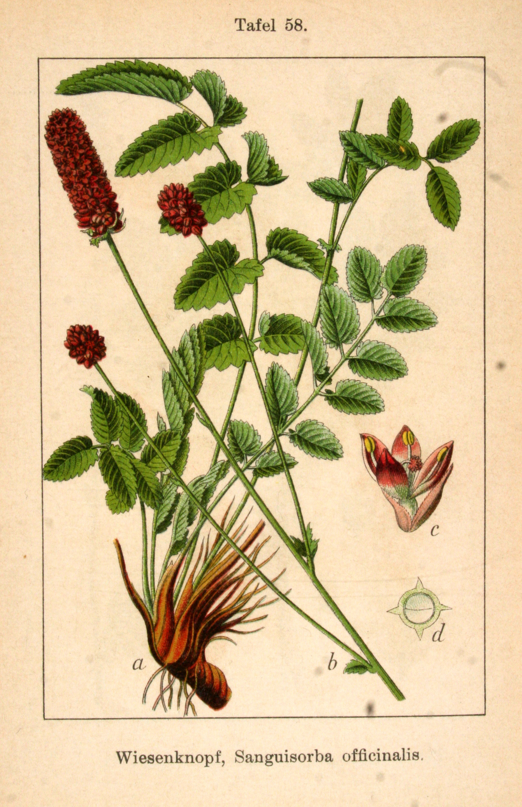 no full size  illustration available (3a)