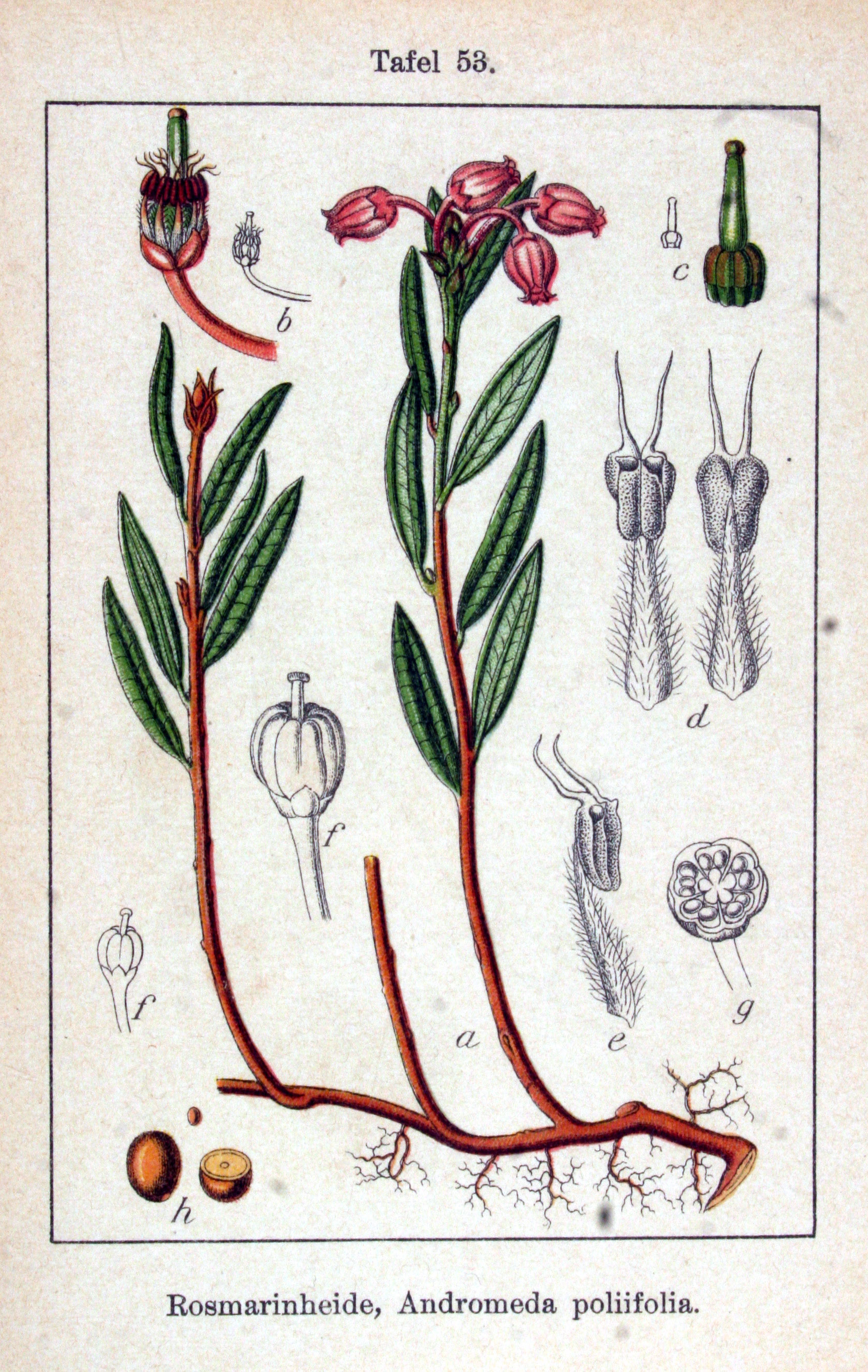 no full size  illustration available (3a)