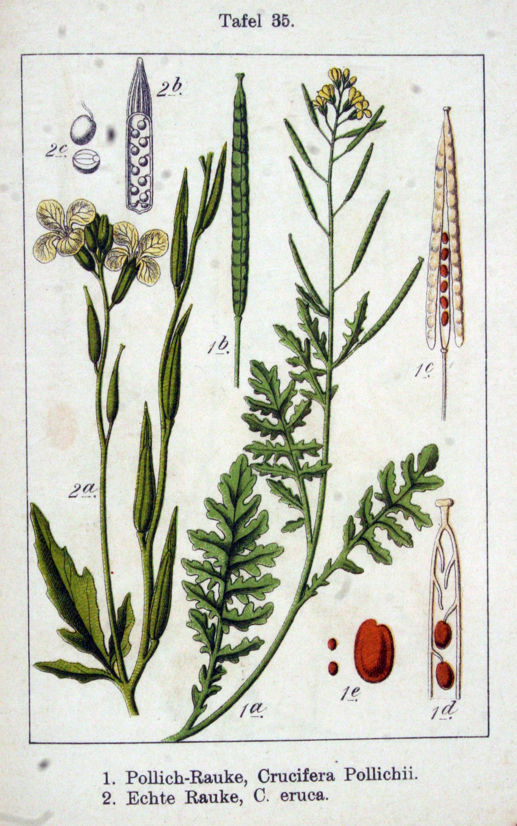 no full size  illustration available (3a)