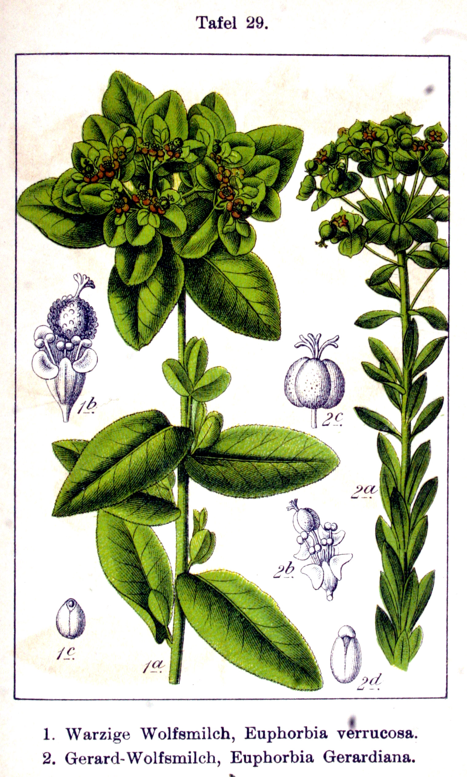 no full size  illustration available (3a)