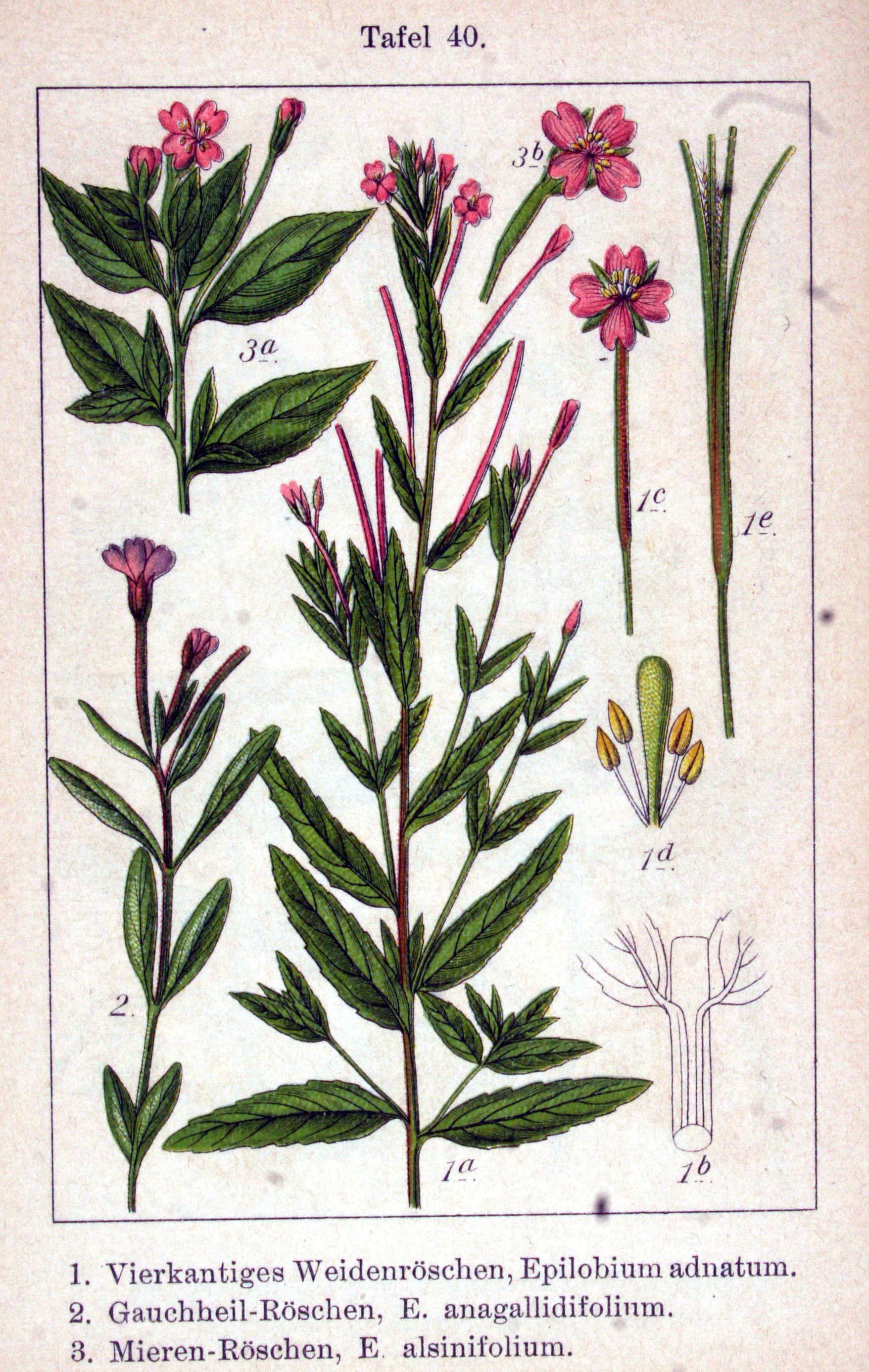 no full size  illustration available (3a)