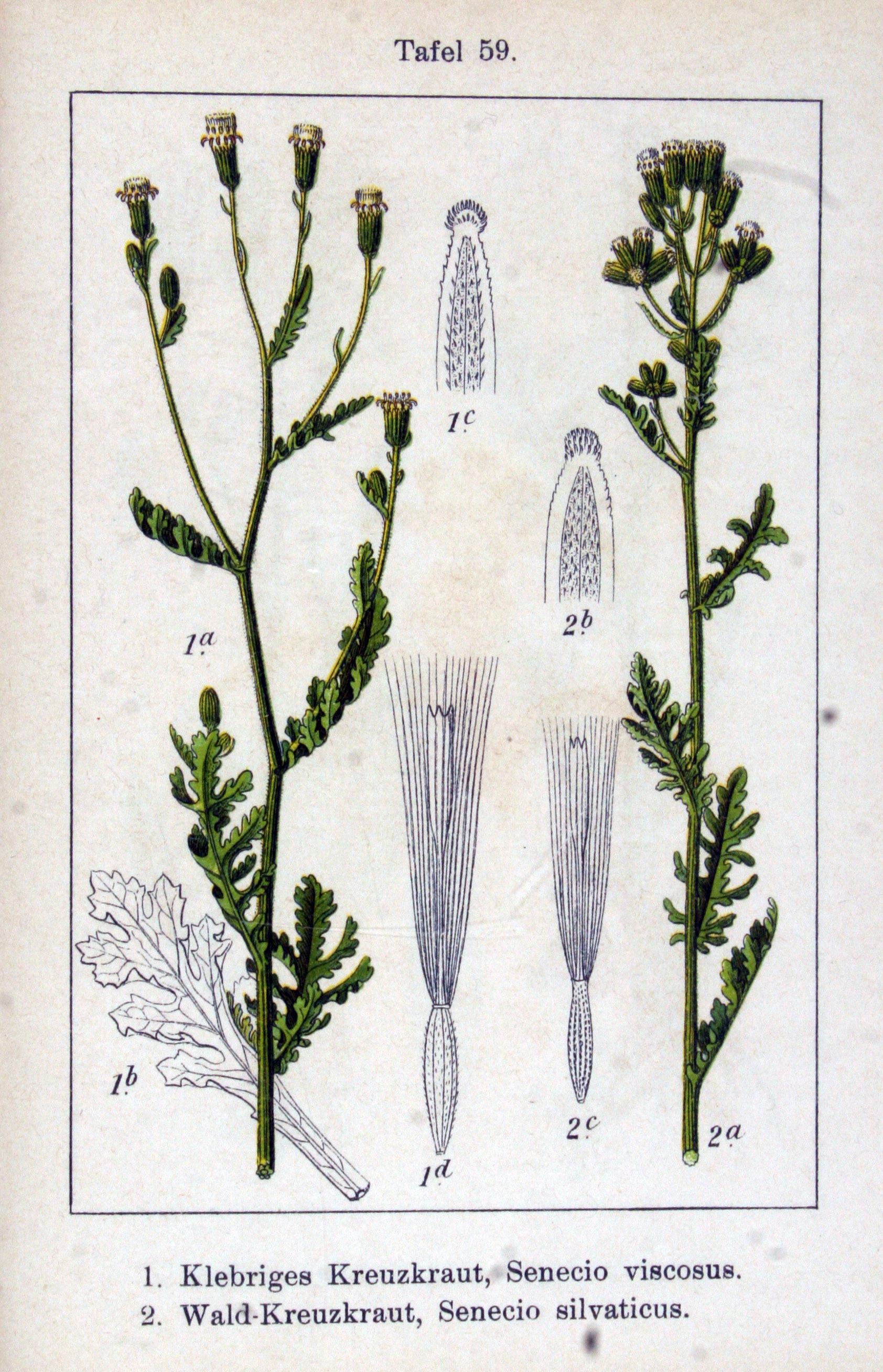 no full size  illustration available (3a)