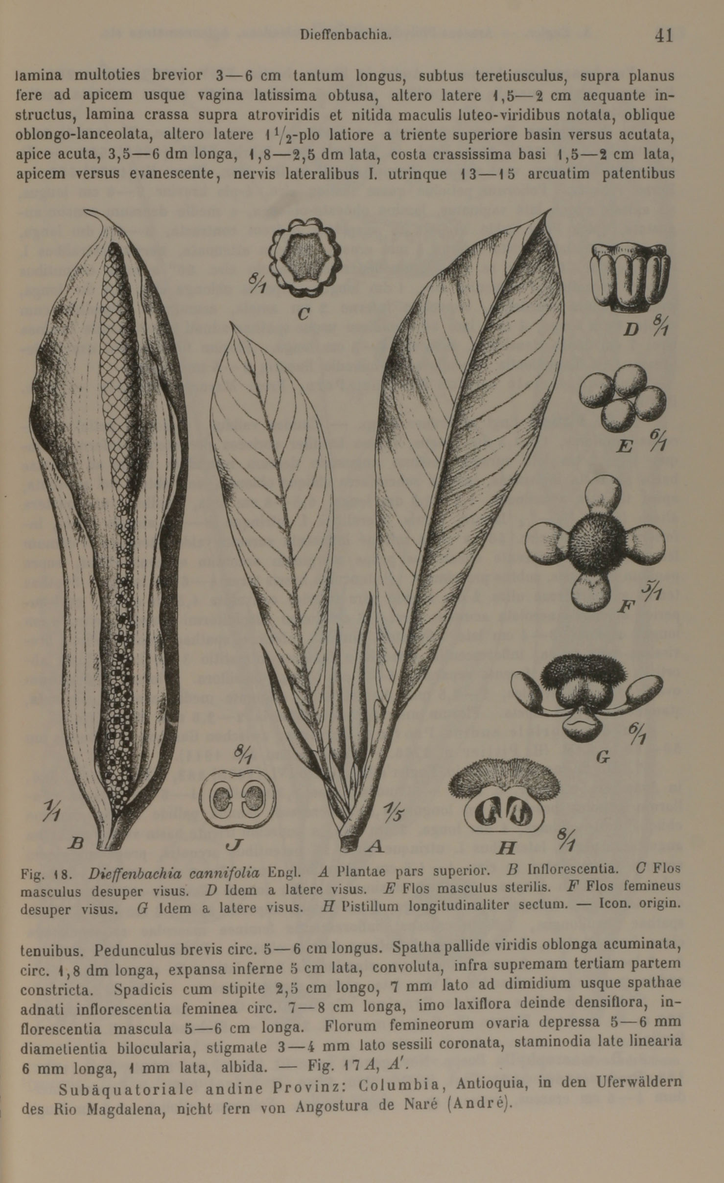 no full size  illustration available (3a)