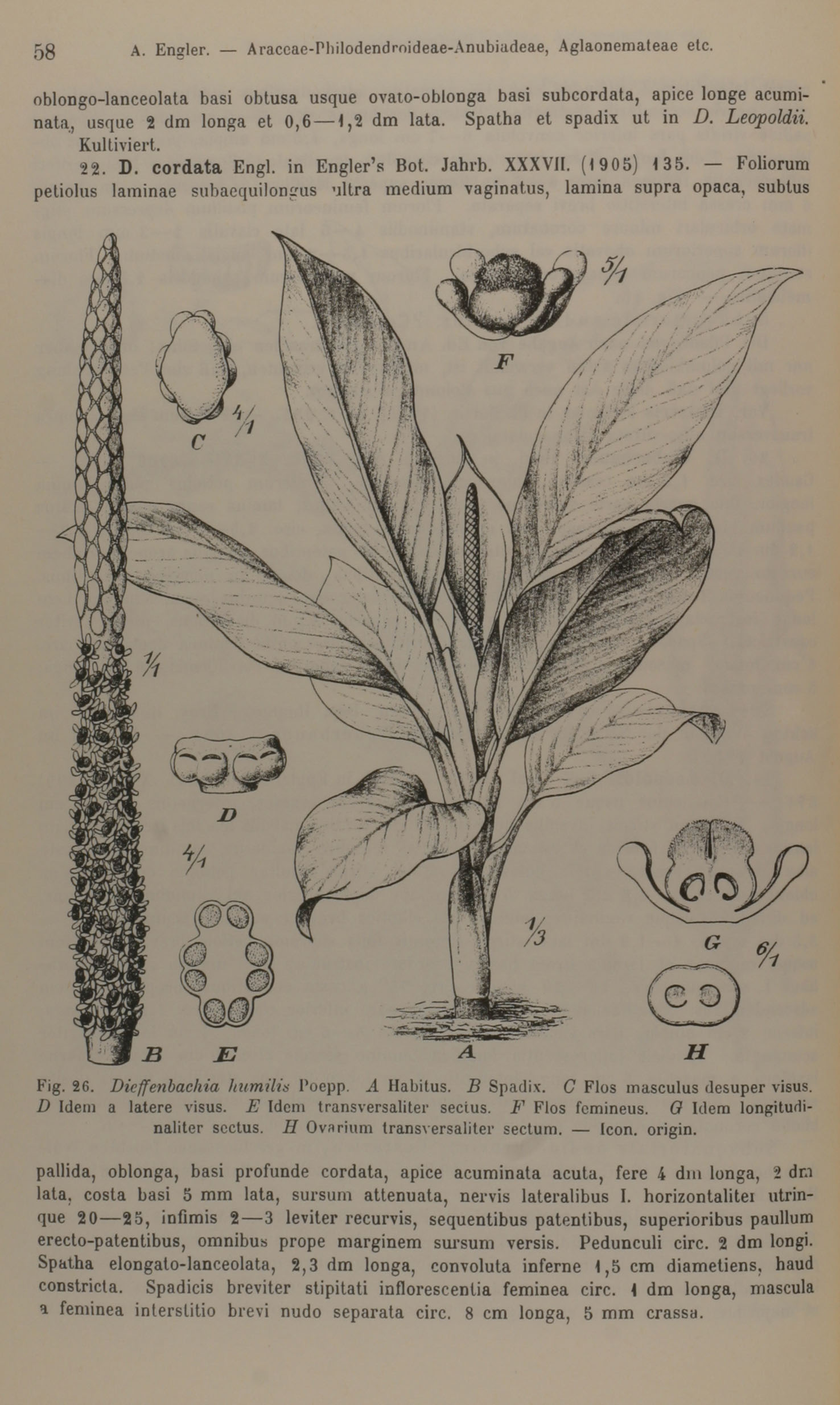 no full size  illustration available (3a)