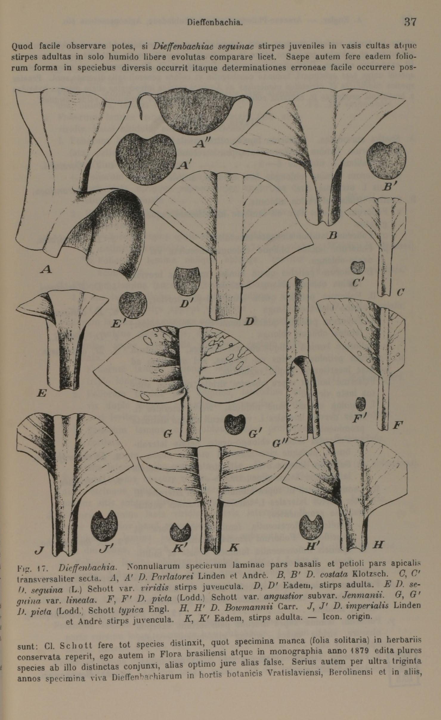 no full size  illustration available (3a)