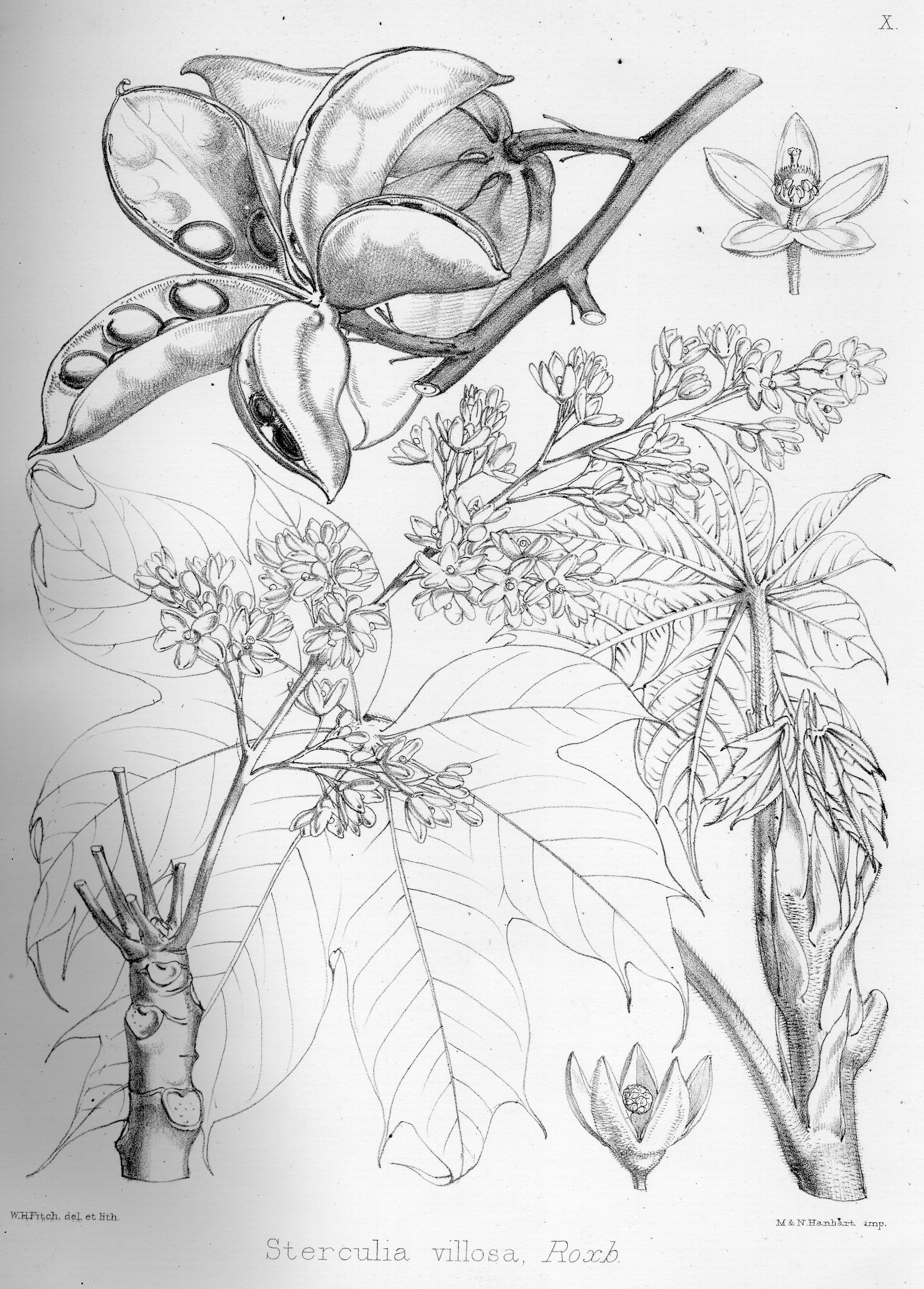 no full size  illustration available (3a)