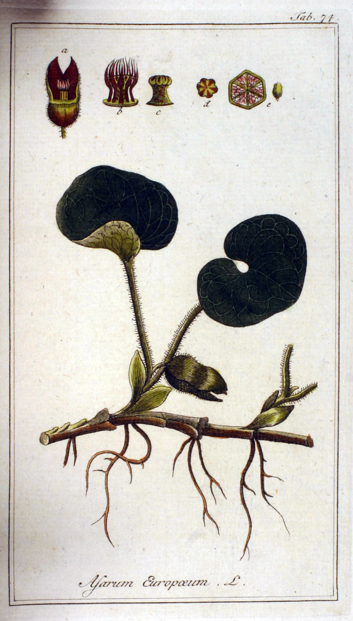 no full size  illustration available (3a)