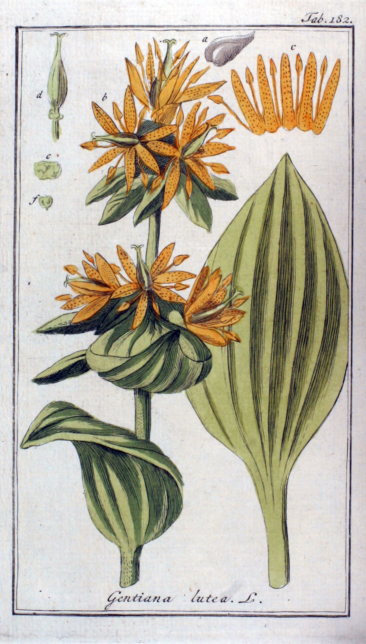 no full size  illustration available (3a)