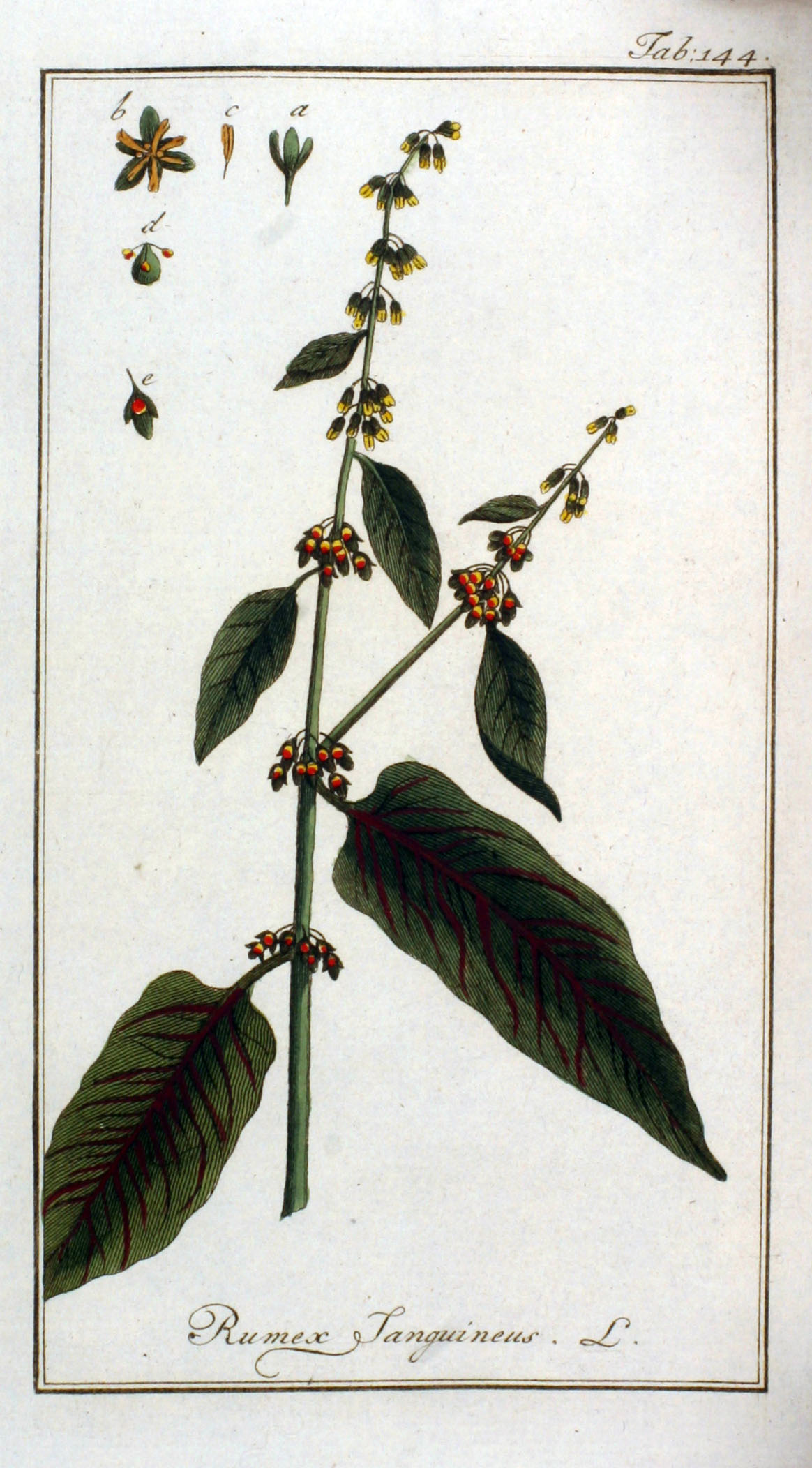 no full size  illustration available (3a)